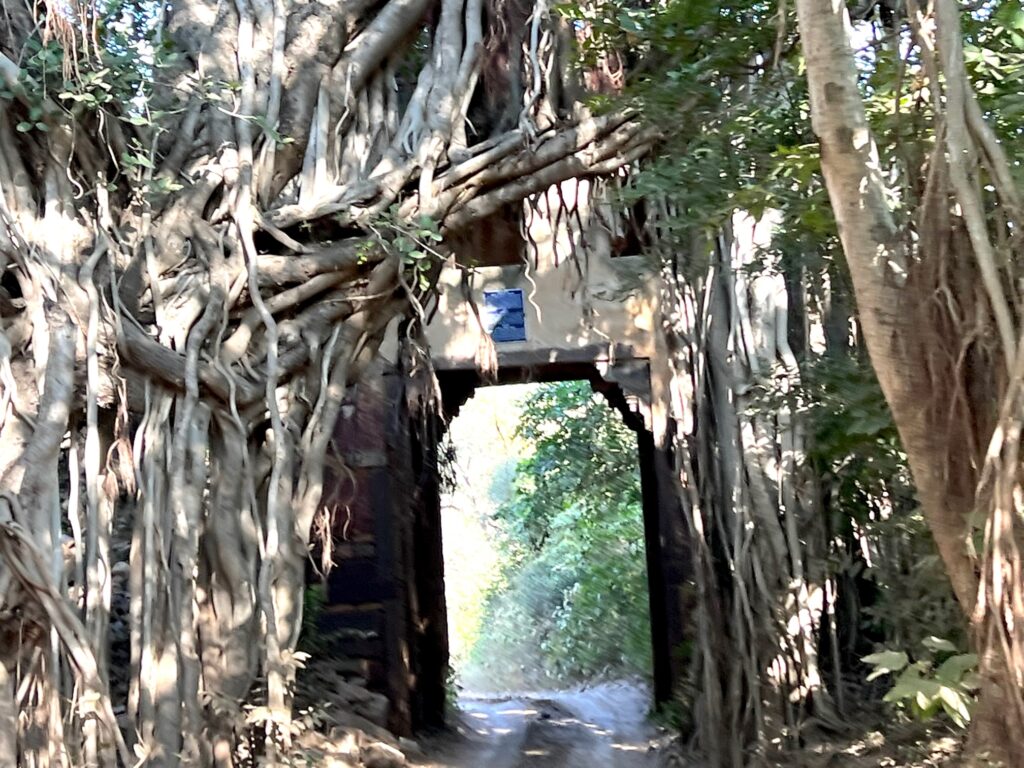 Entrance to Ranthambore National Park.