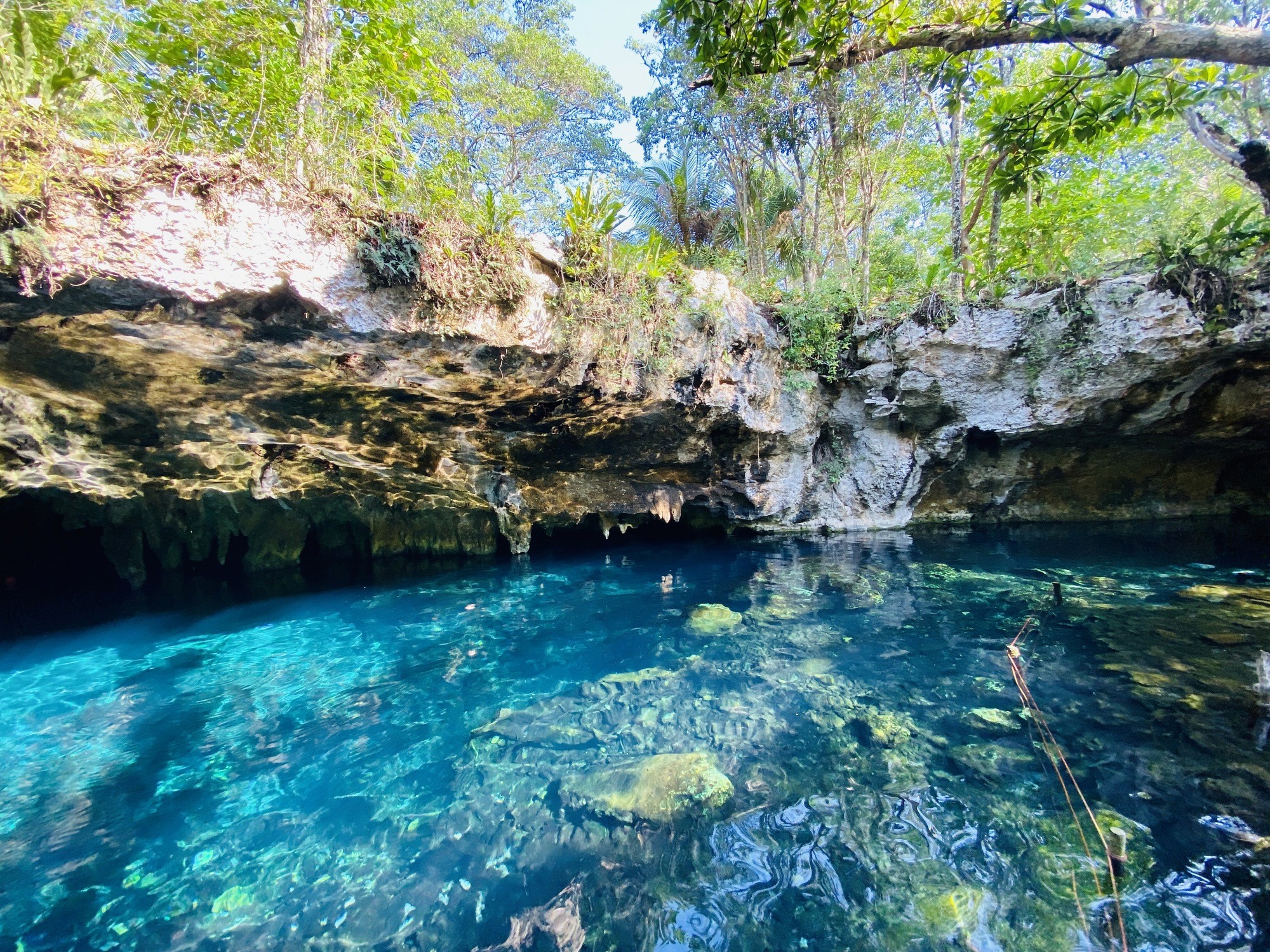 photography of dam during daytime