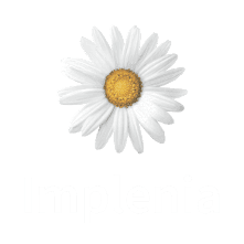 Logo Implenia, Customer rready