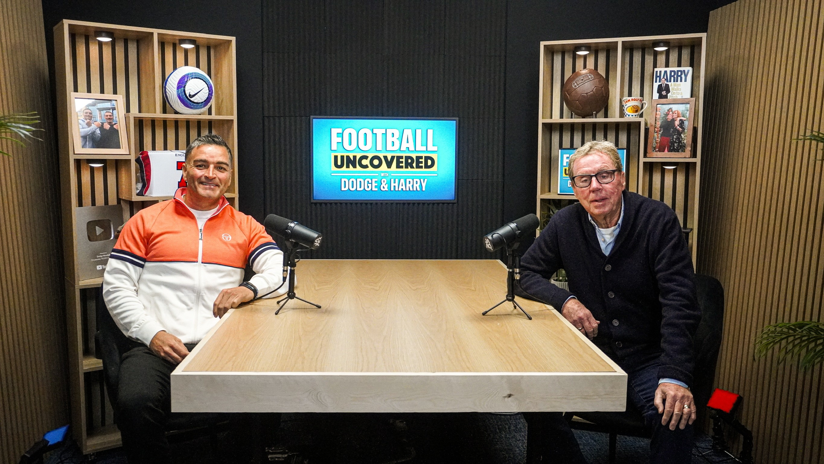 colorful mountain and meadow scenery with clouds, birds, and grass