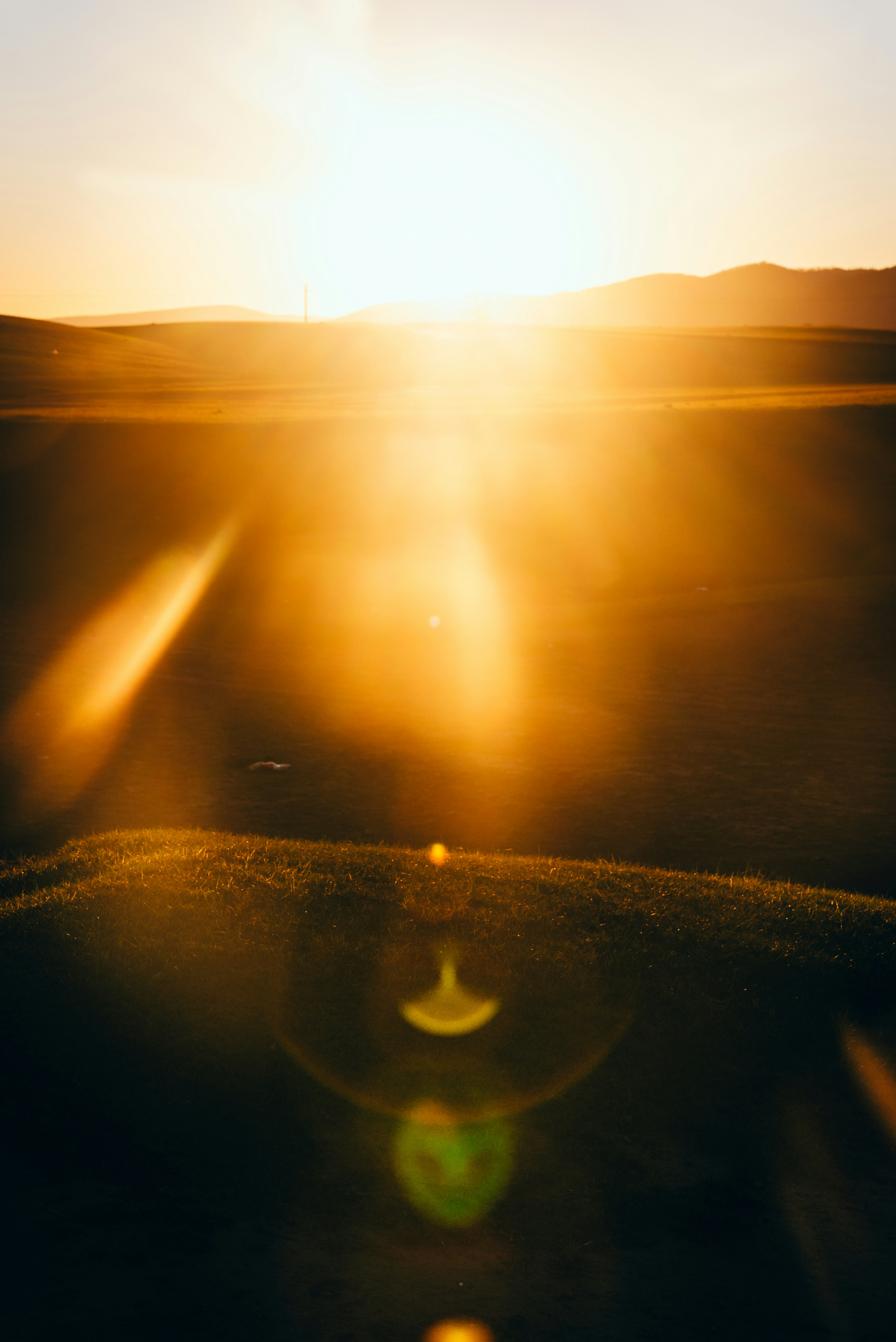 Sunset bathes the landscape in a warm, golden glow.