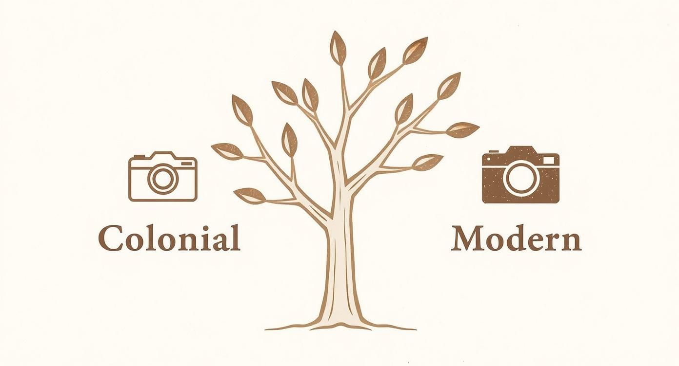 Infographic about indian portrait photography