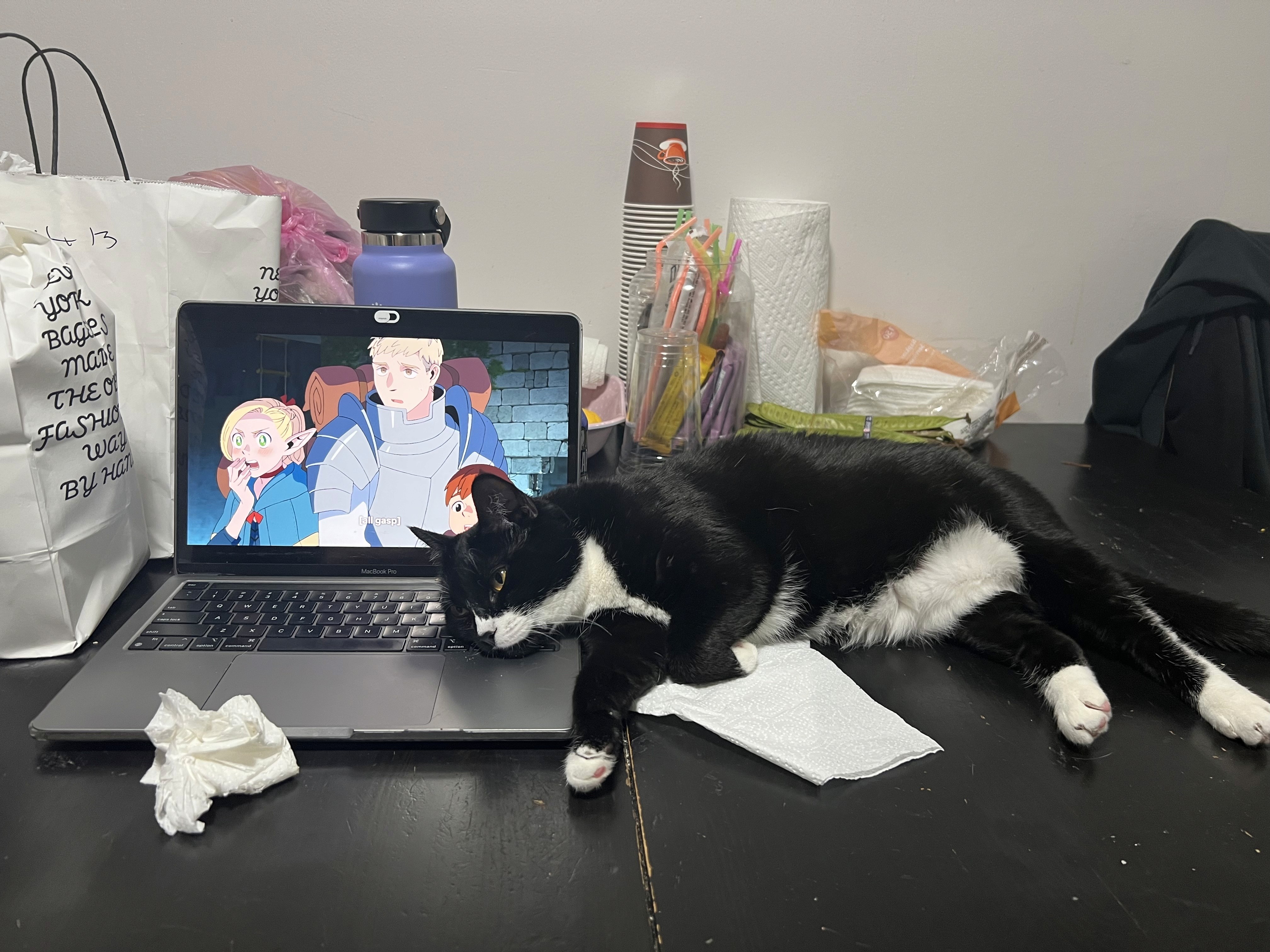 a group of me and 3 friends at my birthday picnic