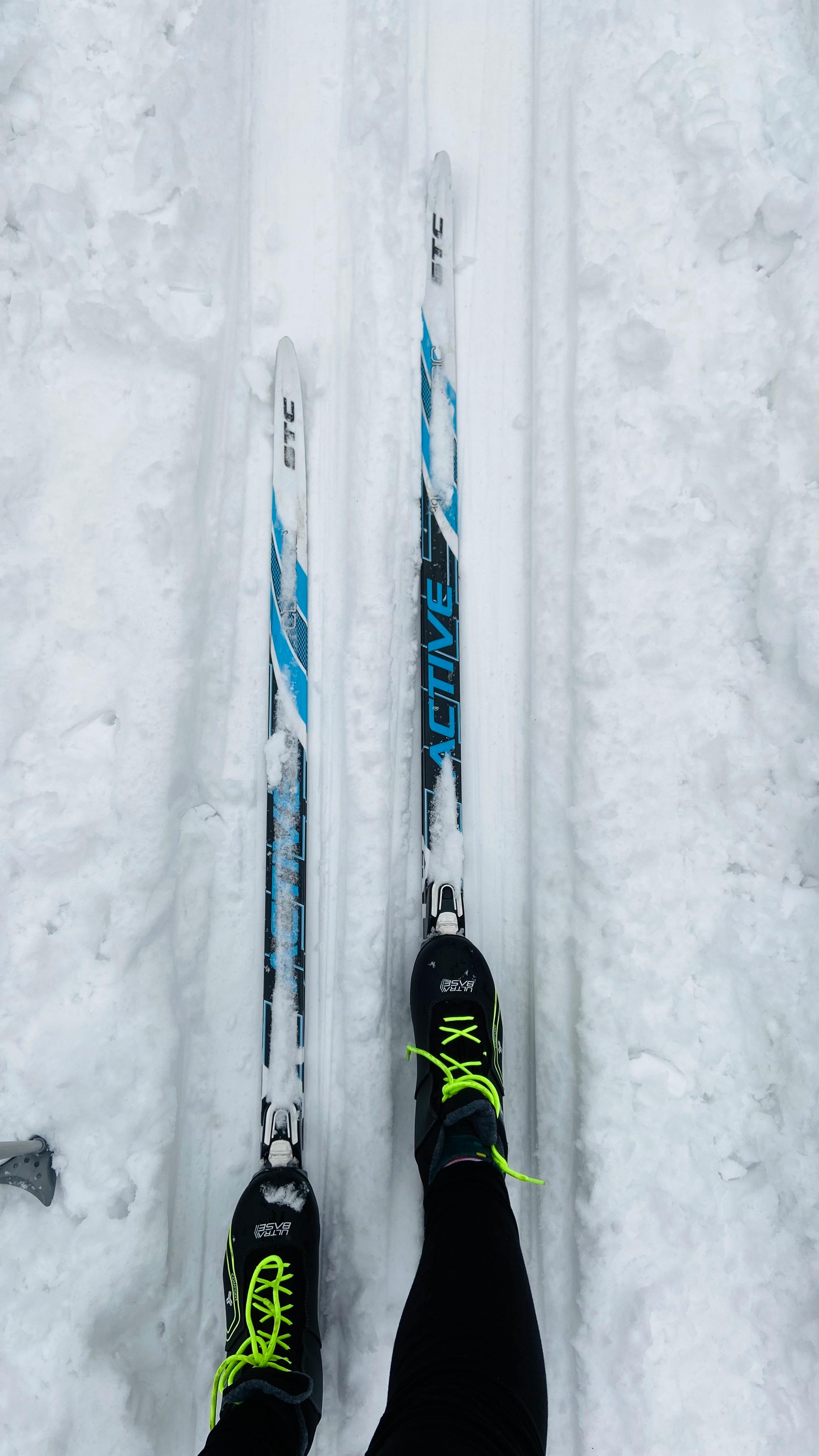 Nordic skiis in the snow