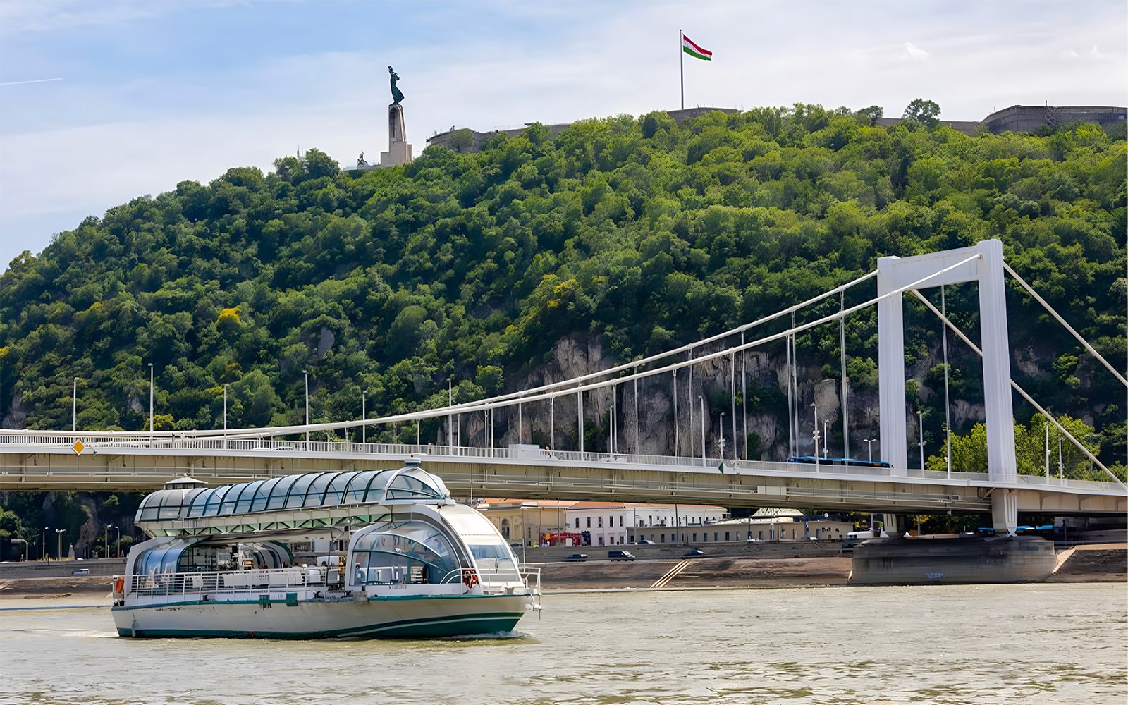 Boat cruise passing under Elisabeth Bridge in Budapest.