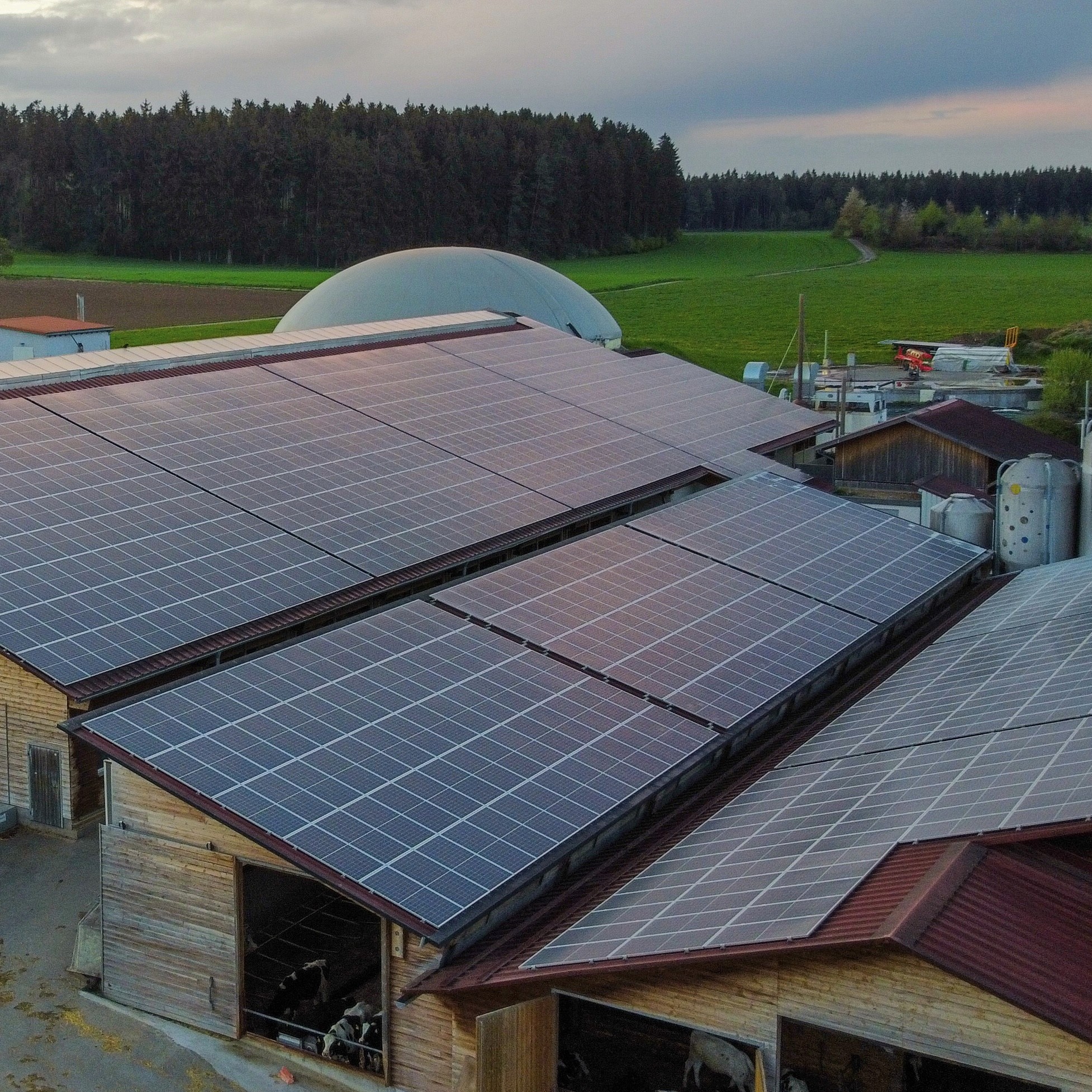 Erneuerbare Energien auf den Dächern des Poolehofs