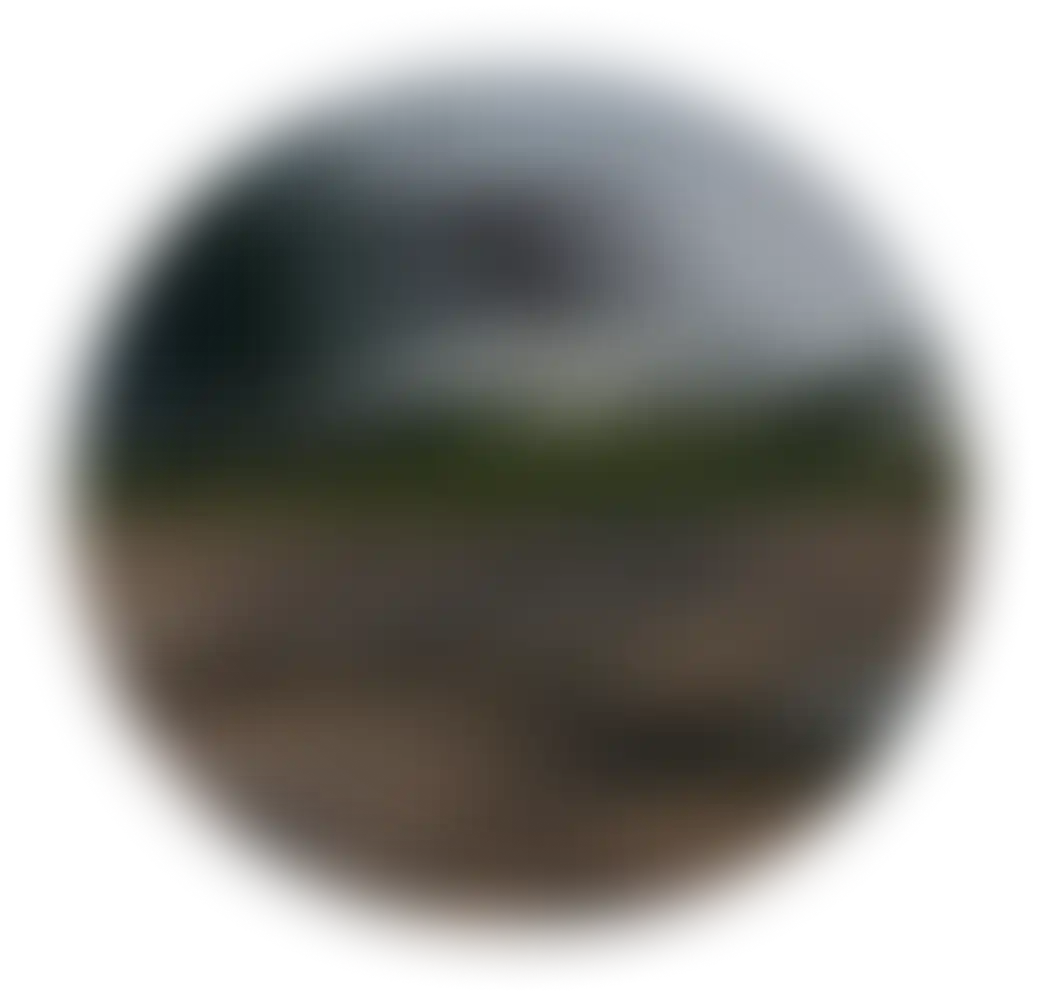 Petite église blanche en bord de mer, entourée de conifères, vue depuis un rivage rocheux sous une lumière douce.