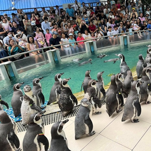 Khao Kheow Open Zoo Pattaya