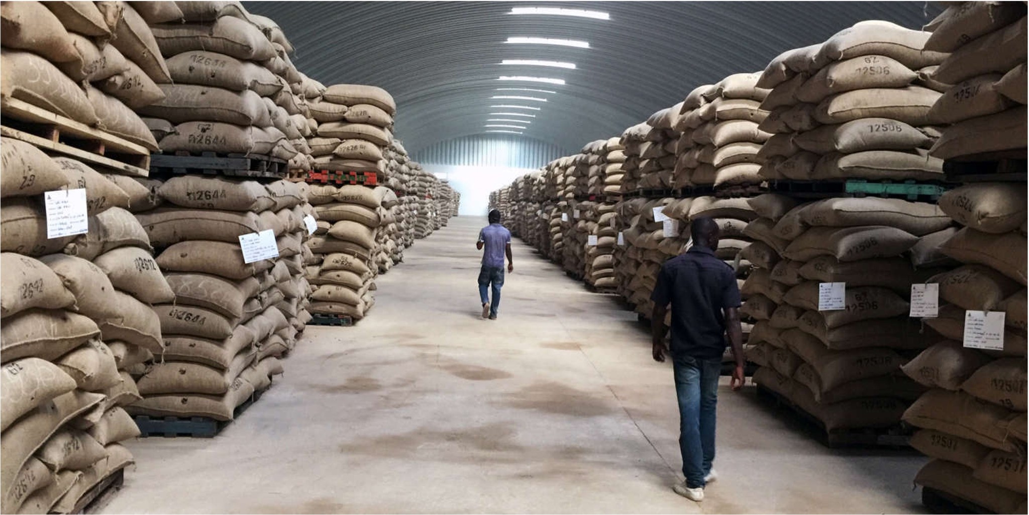 Des sacs de fèves stockés dans un entrepôt
