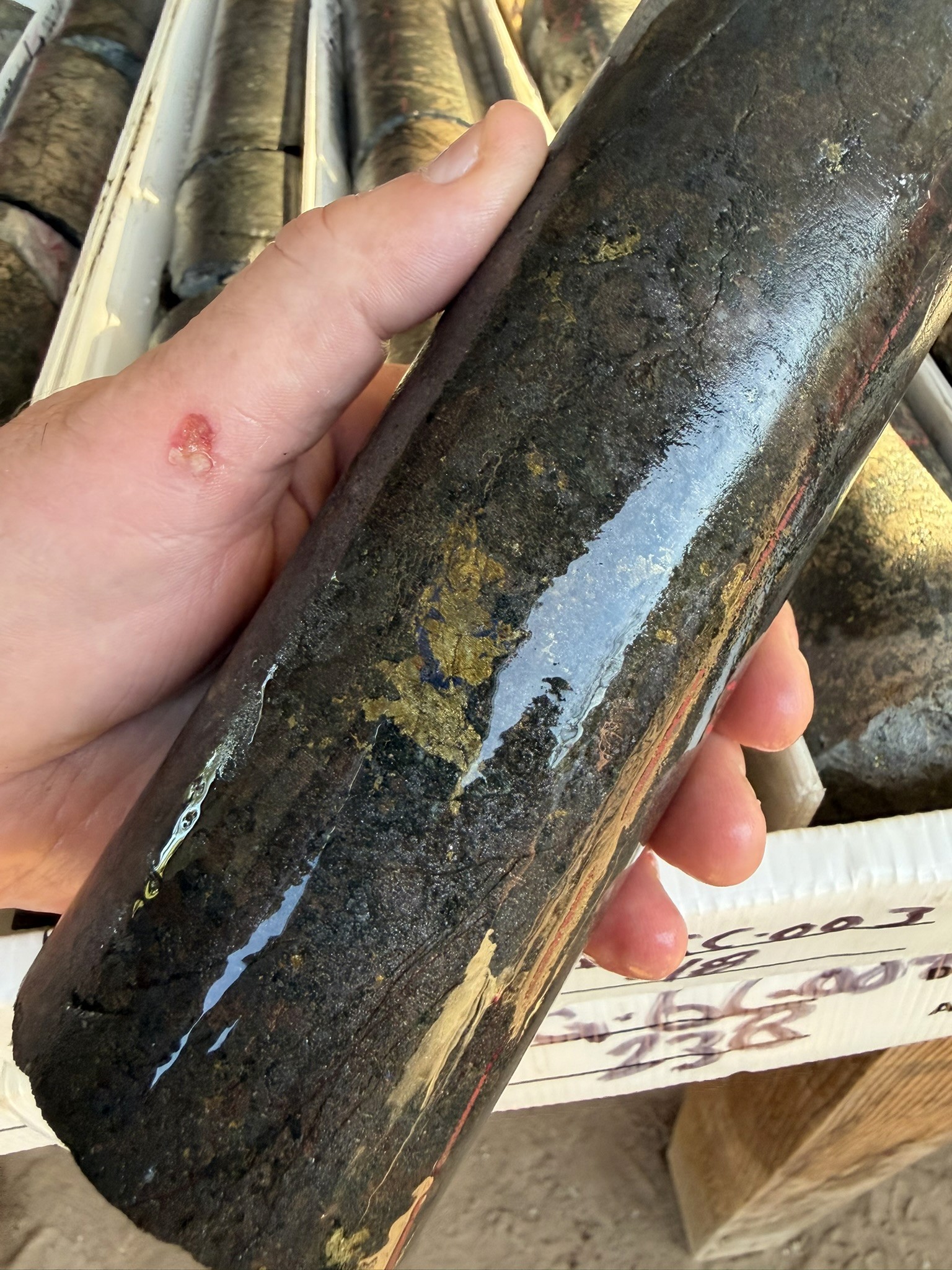 Magnetite-rich horizon on the Cerro Grande Skarn with intense vein-controlled chalcopyrite, bornite and chalcocite. (Section AG_GC_002, 227.26m-242.05m, 14.79m @ 1.4% Cu, 20 g/t Ag, 0.5 g/t Au).