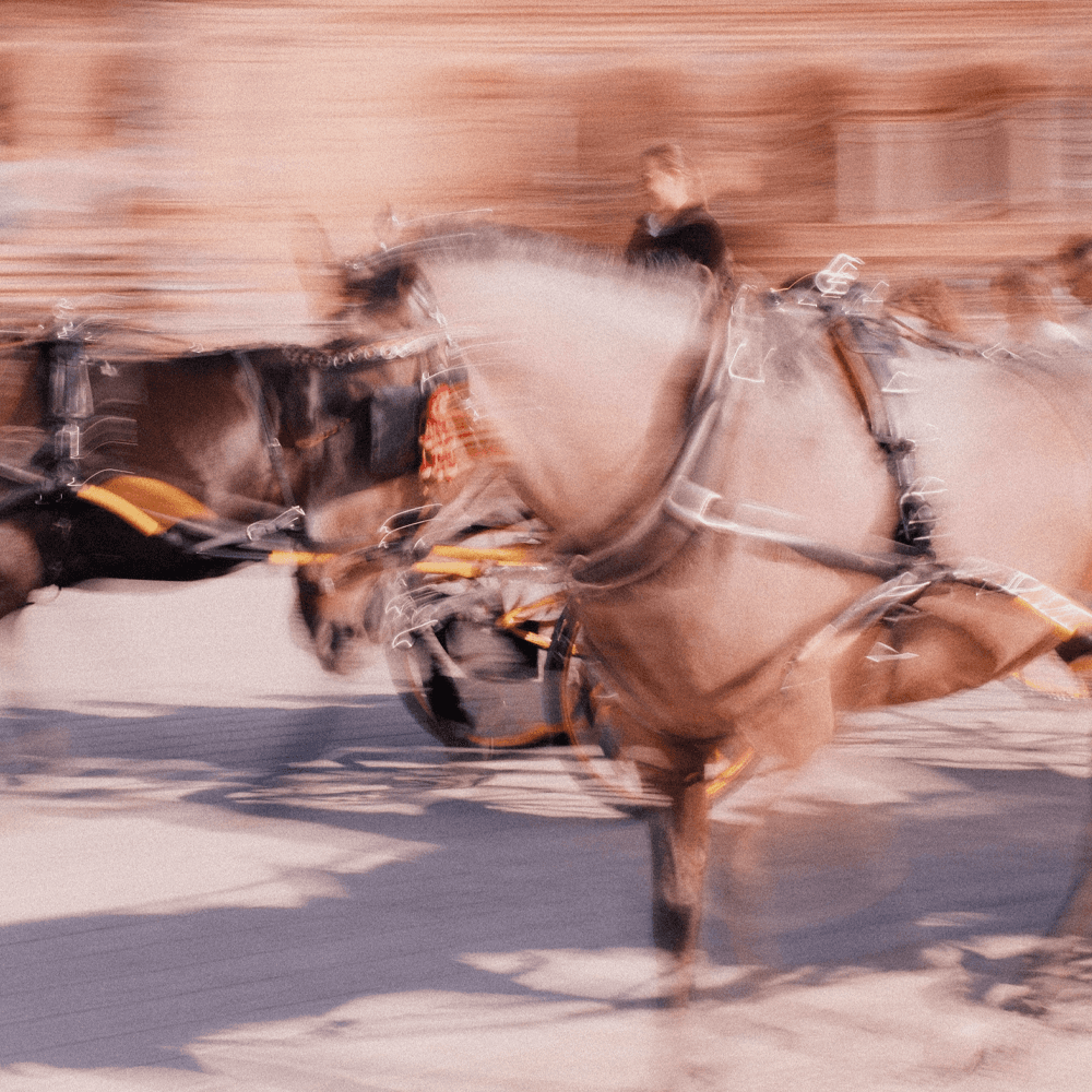 Sevilla dirección de arte