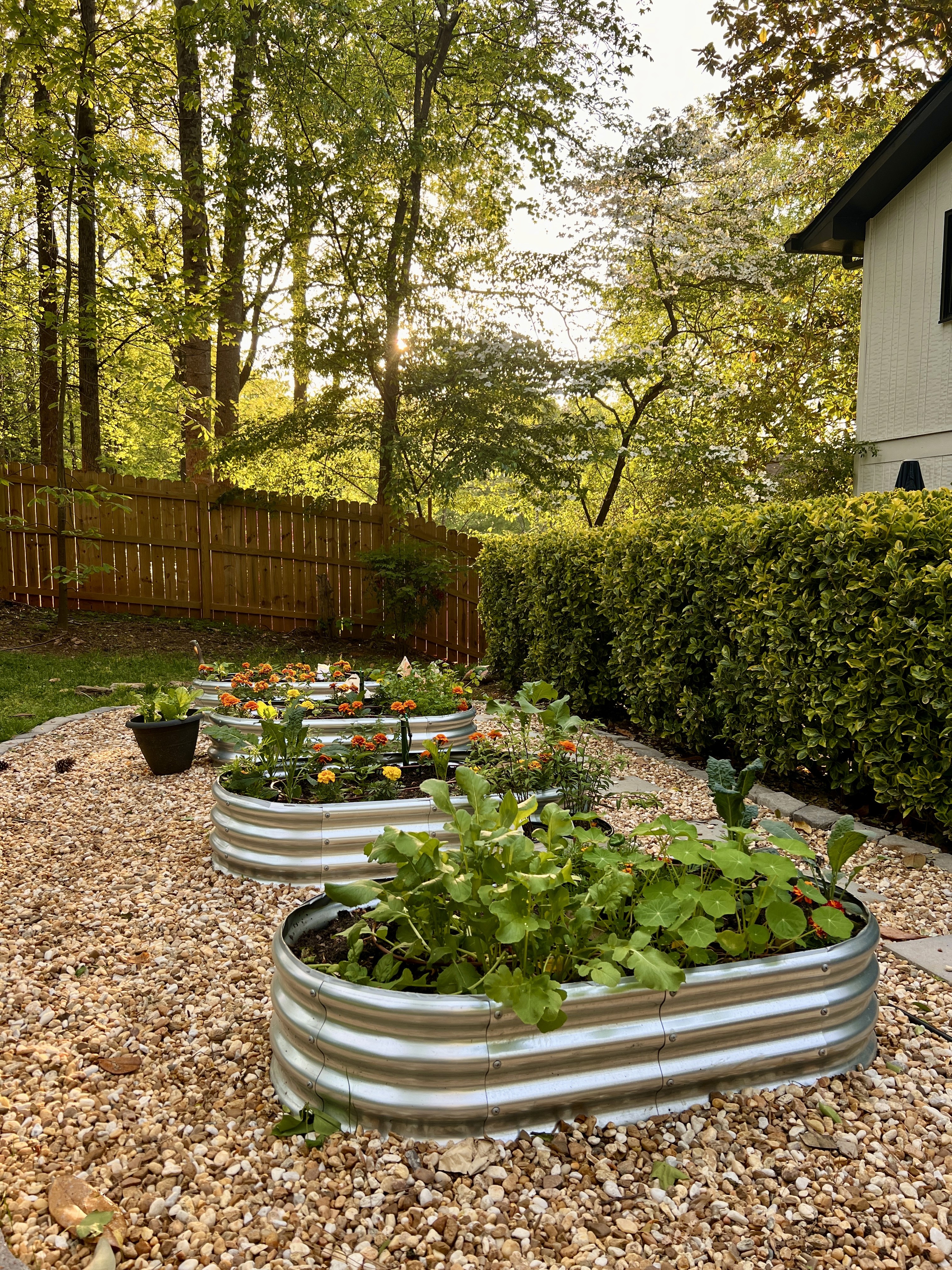 Edible garden design in Marietta, GA