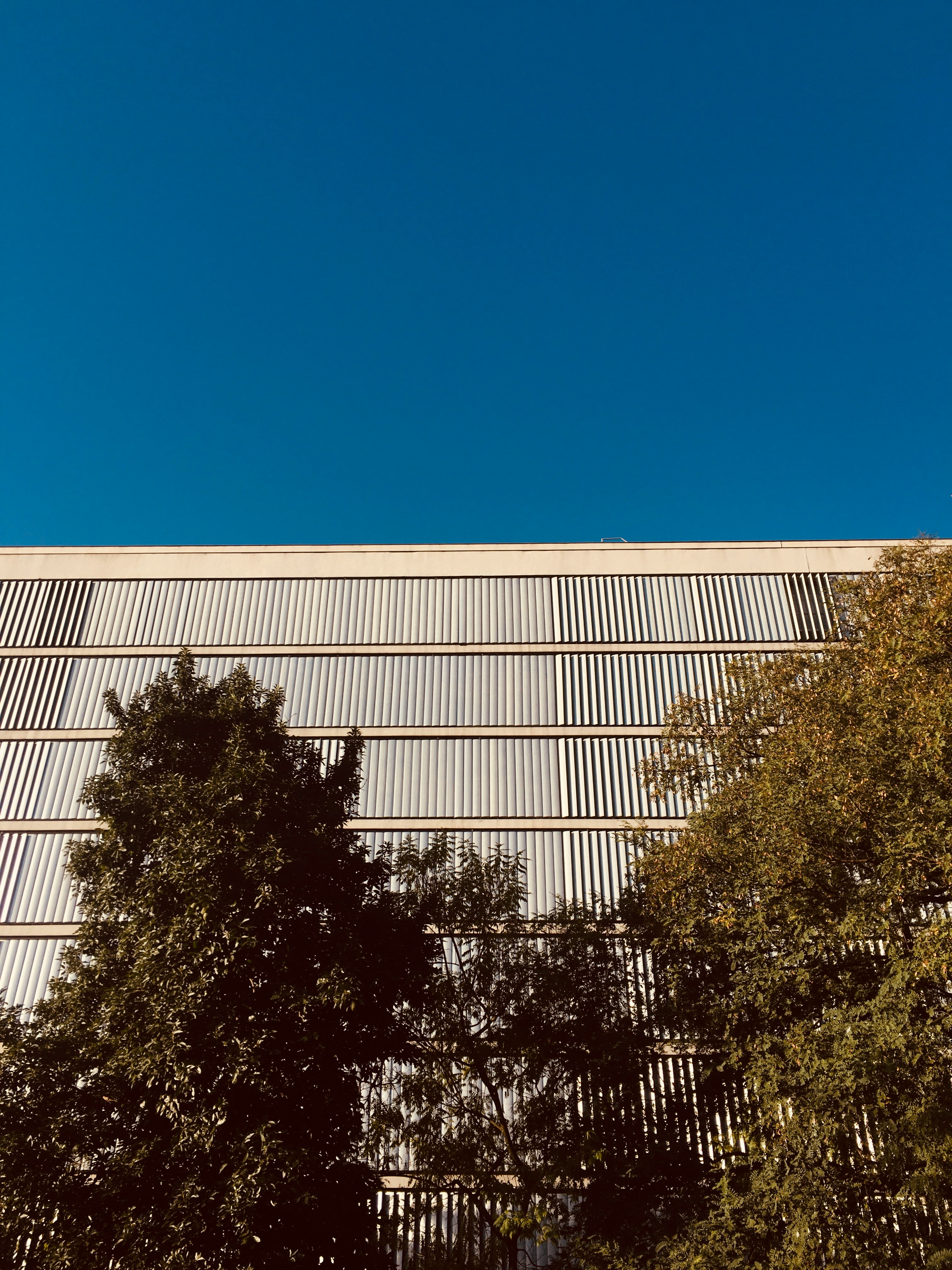 green trees beside white building during daytime