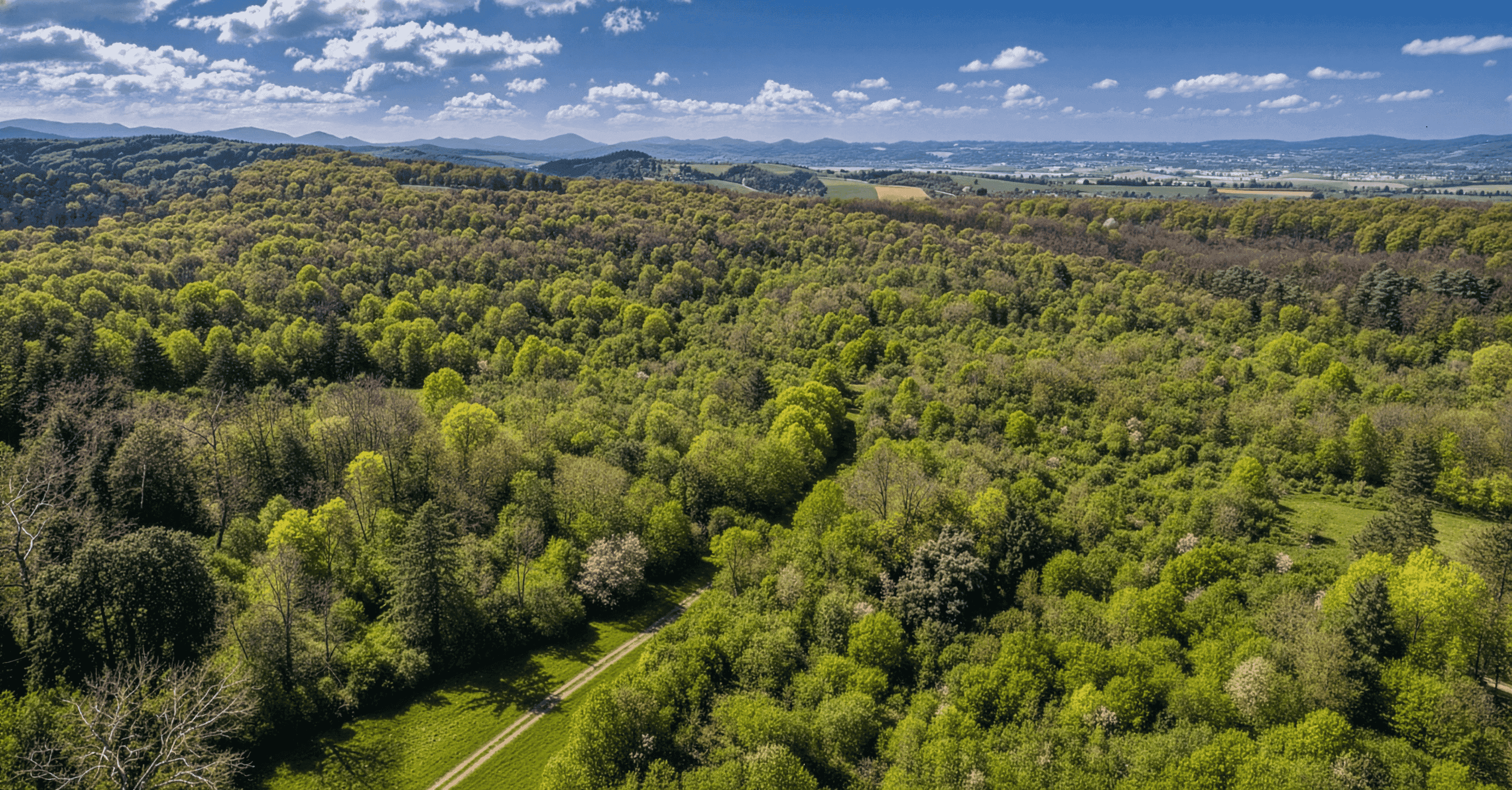 Terracotta stucco space with intersecting arches and warm sunlight creating geometric shadows.