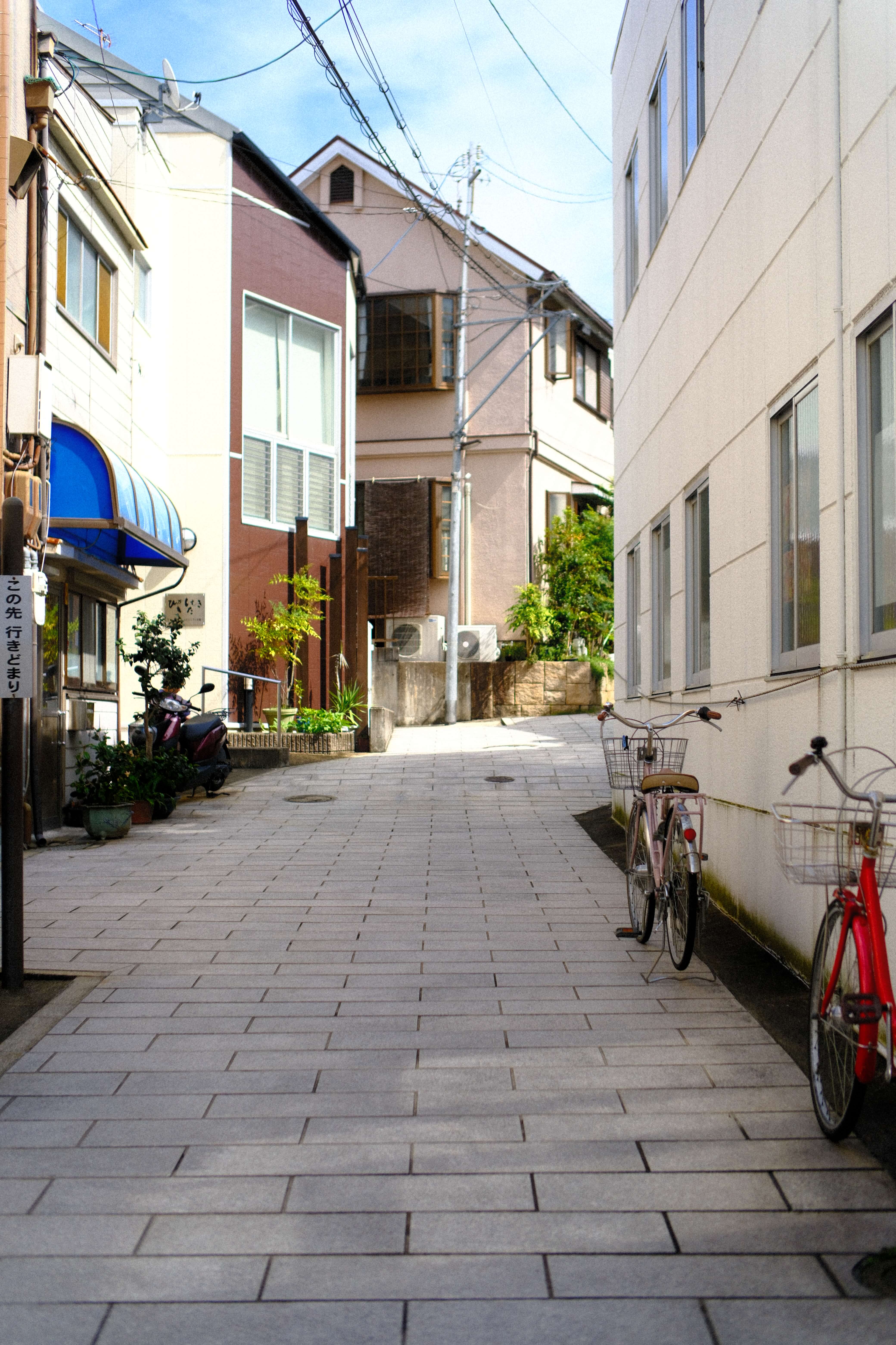 Vintage Car Under Palm Trees