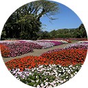 Jardins Decorados  - Motion Turismo