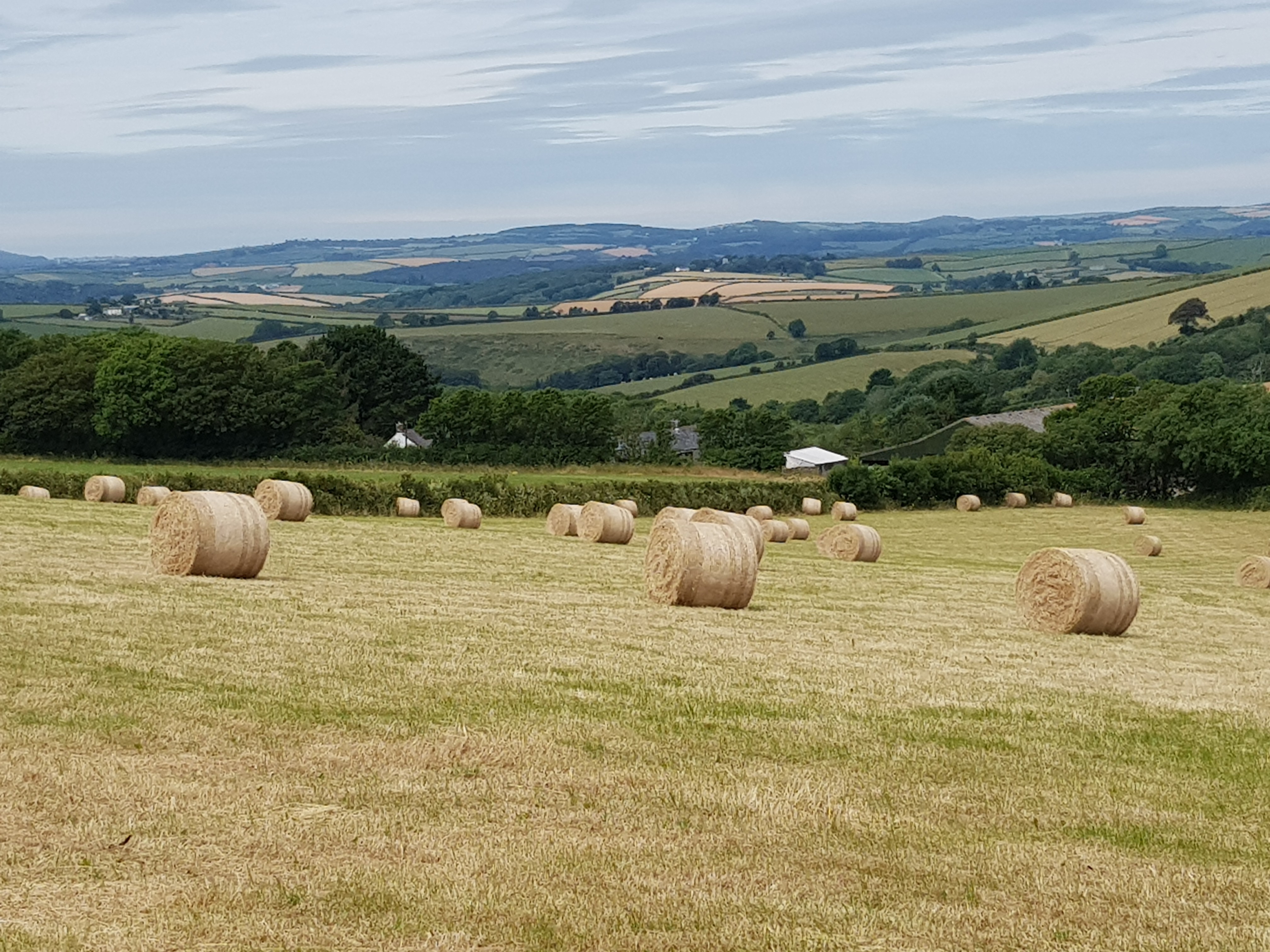 blue sky and white clouds over the sea