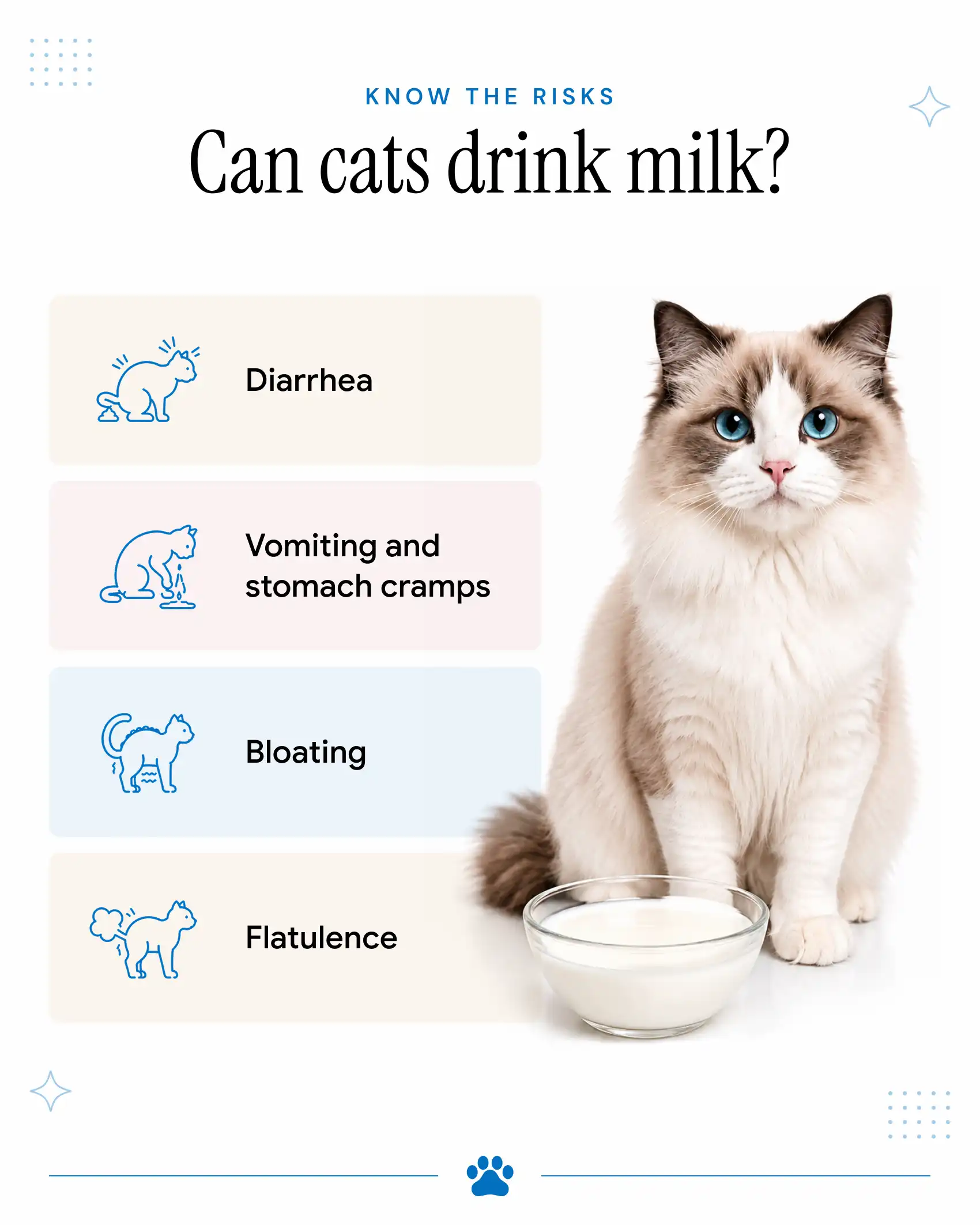 Effects of Milk for Cats