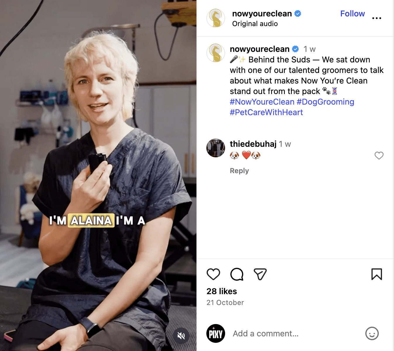 Meet the team - post idea for small business (pet groomers edition)