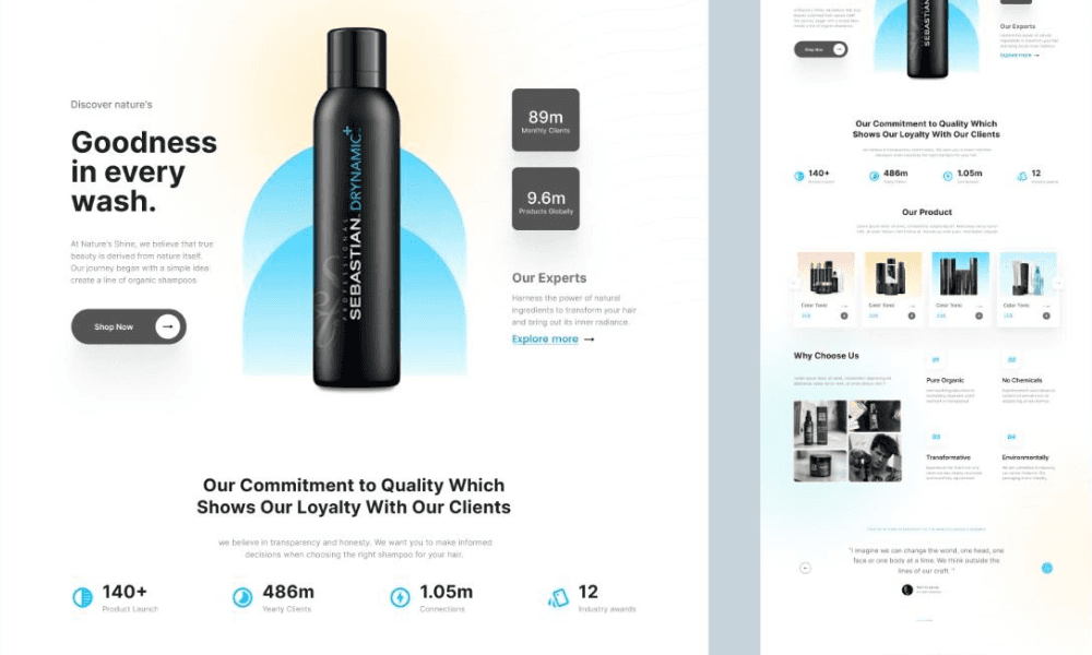 Shopify Brand Selling Trending Products