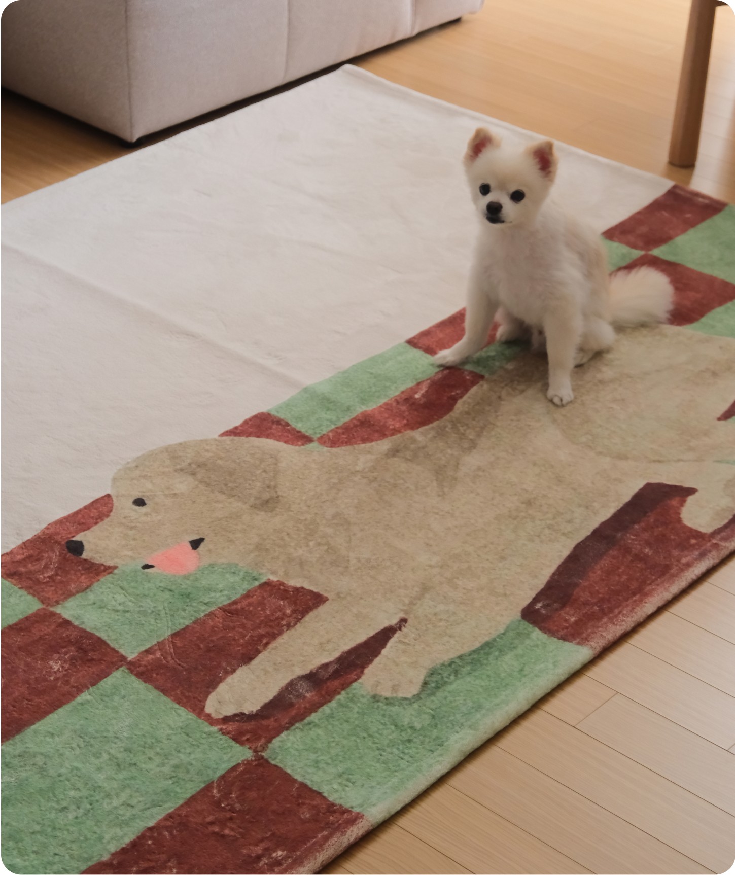 뚜누 waiting 프리미엄 거실 러그