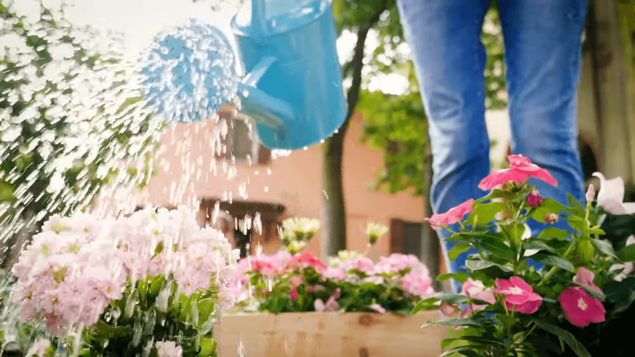 Firma Huber Video zum Weltwassertag zeigt das Gießen von Blumen Videoproduktion Oxygen Pictures