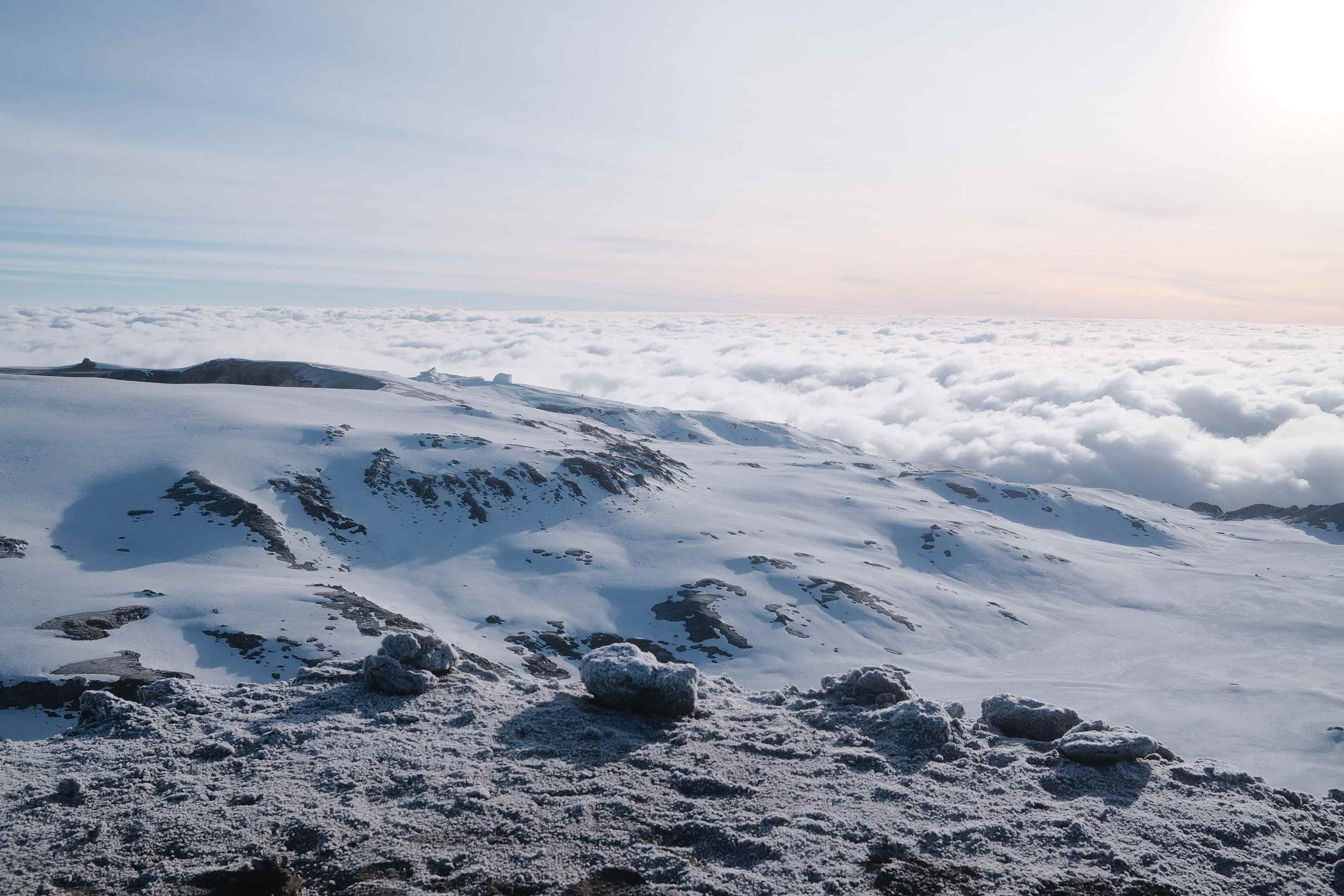 Dawn light on the wind-scoured snow of Kilimanjaro's arctic summit zone above the cloud line at 5,895 metres.
