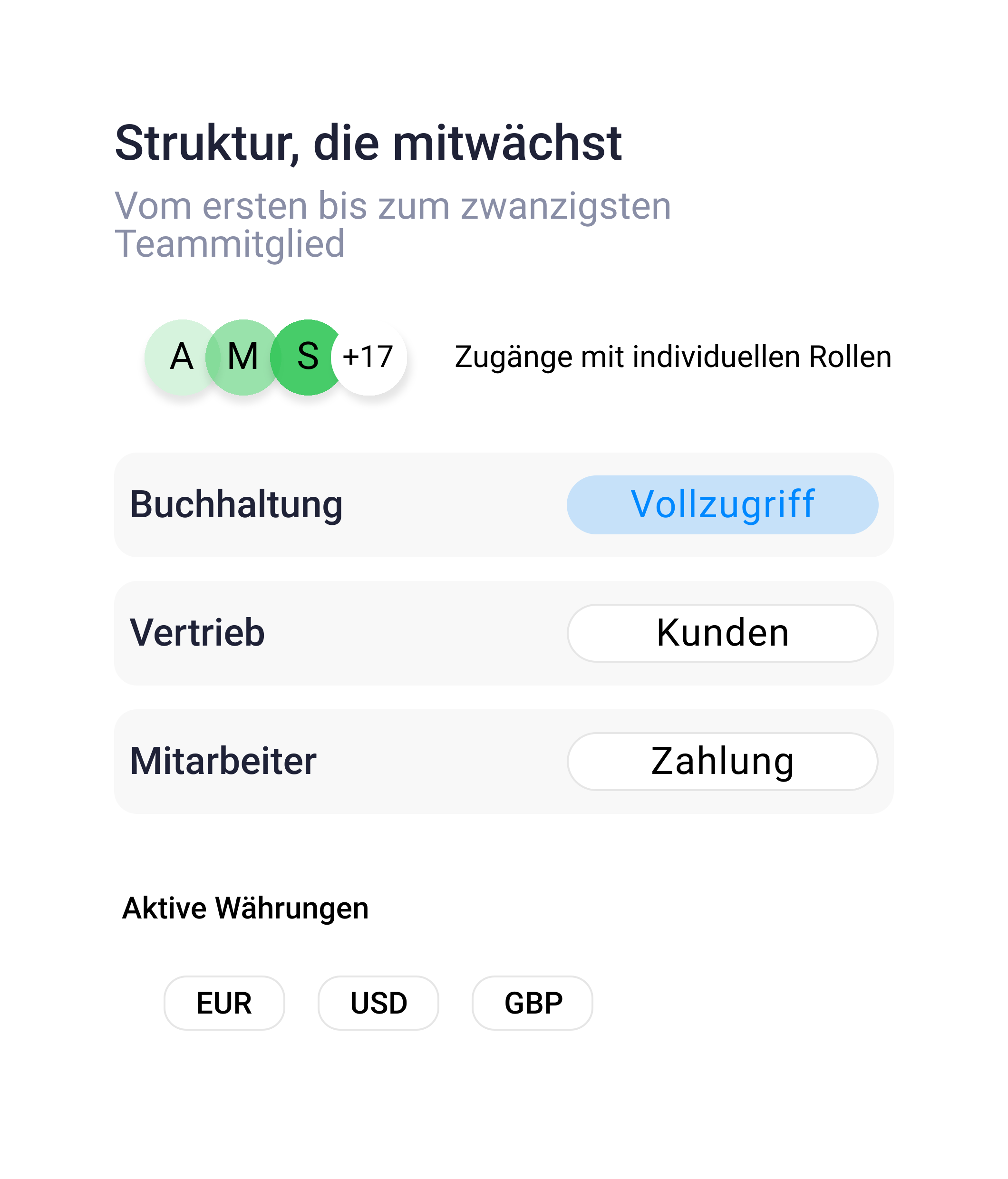 Skalierbare Teamstruktur vom ersten bis zum zwanzigsten Mitglied mit individuellen Rollen: Buchhaltung mit Vollzugriff, Vertrieb mit Kundenzugriff, Mitarbeiter mit Zahlungszugriff sowie aktive Währungen EUR, USD und GBP