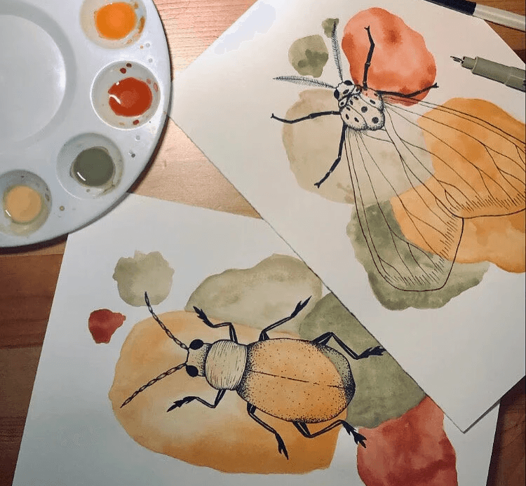 The image featured at the top of the about us page #1