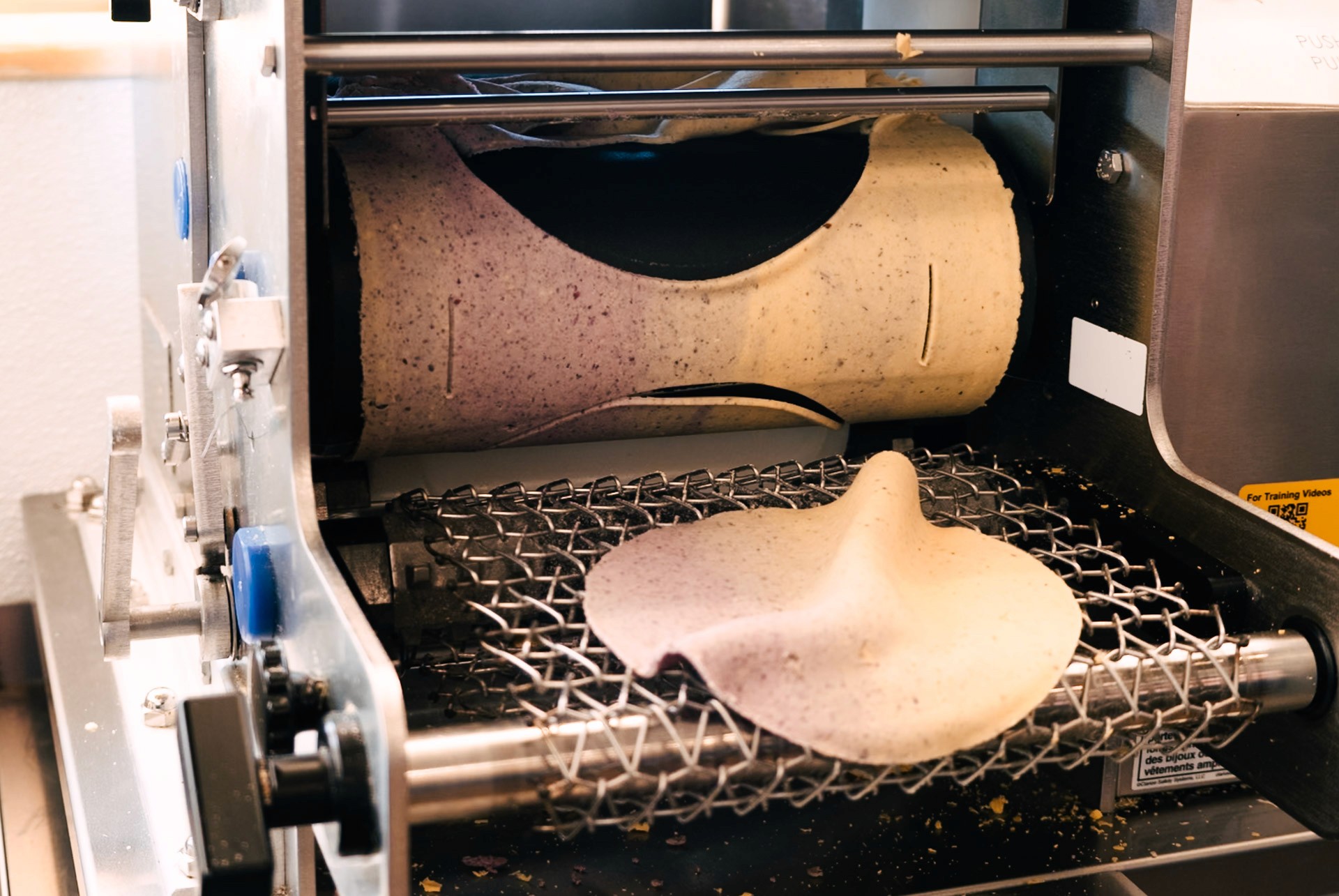 A sheet of pale masa wrapping the roller of a tortilla machine, with a freshly cut round on the mesh belt below.