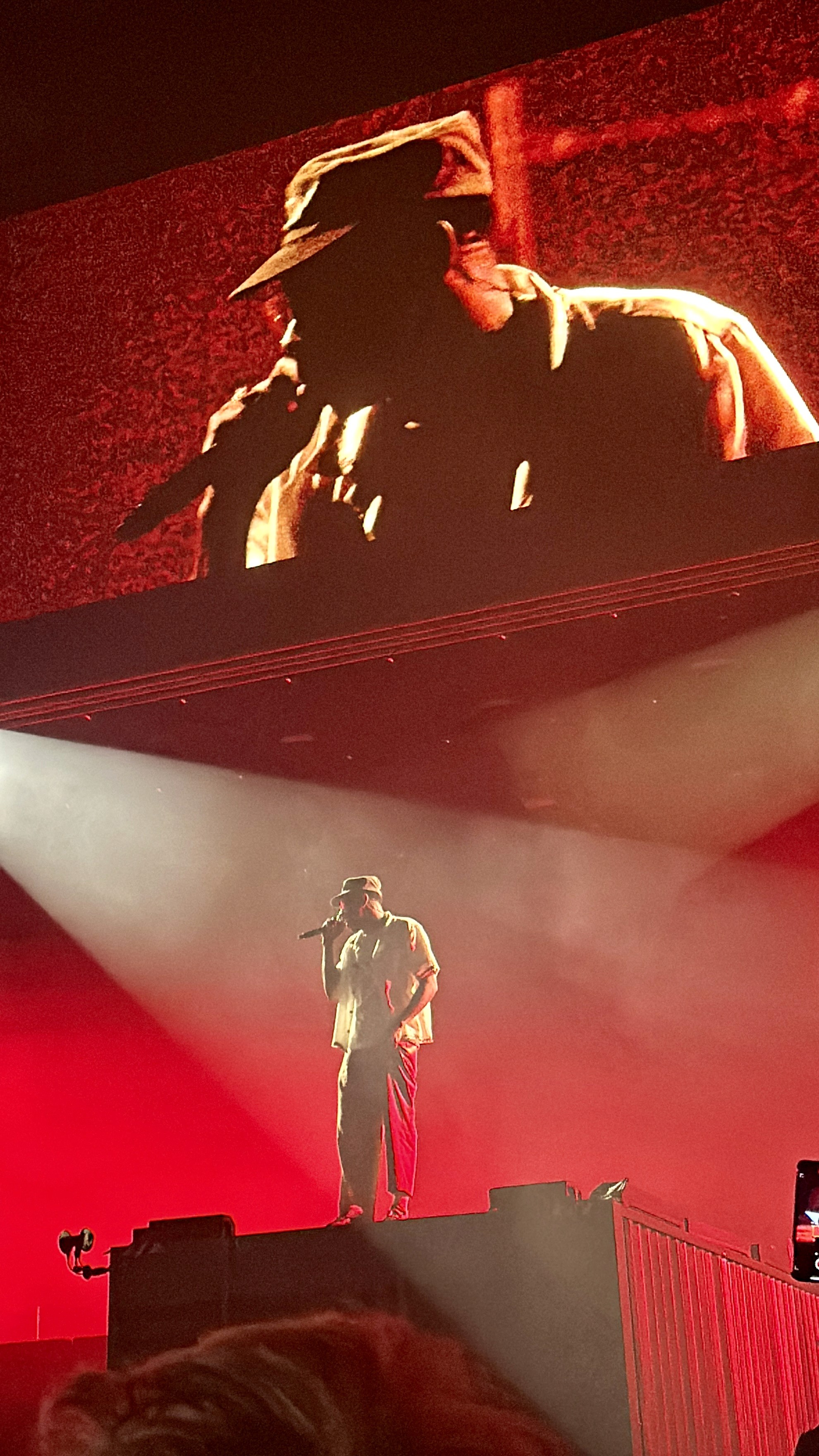 Vintage Car Under Palm Trees