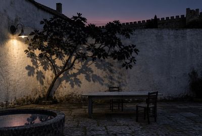 The walled garden at dusk
