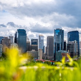 downtown calgary view