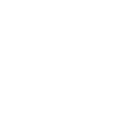 Next Arrow