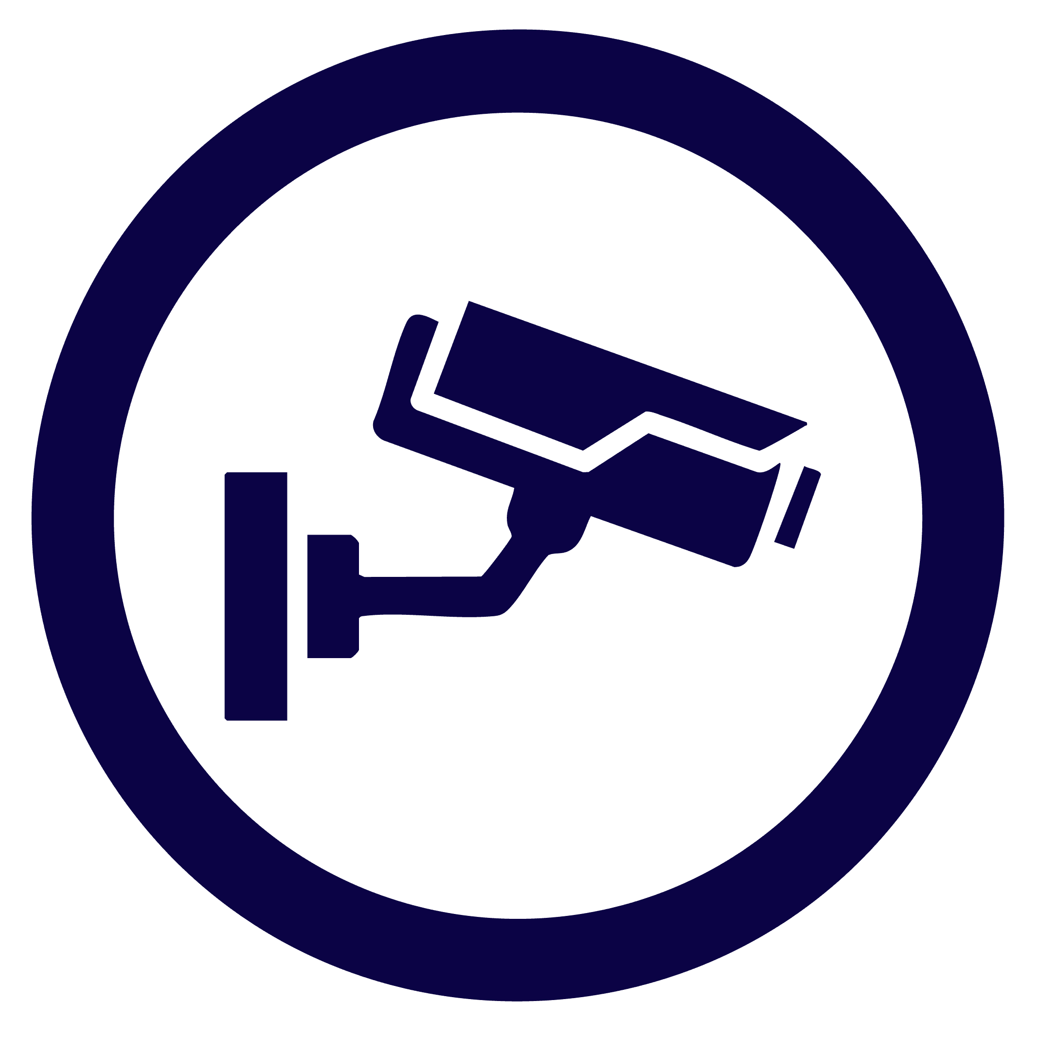 circle icon in blue of a security camera