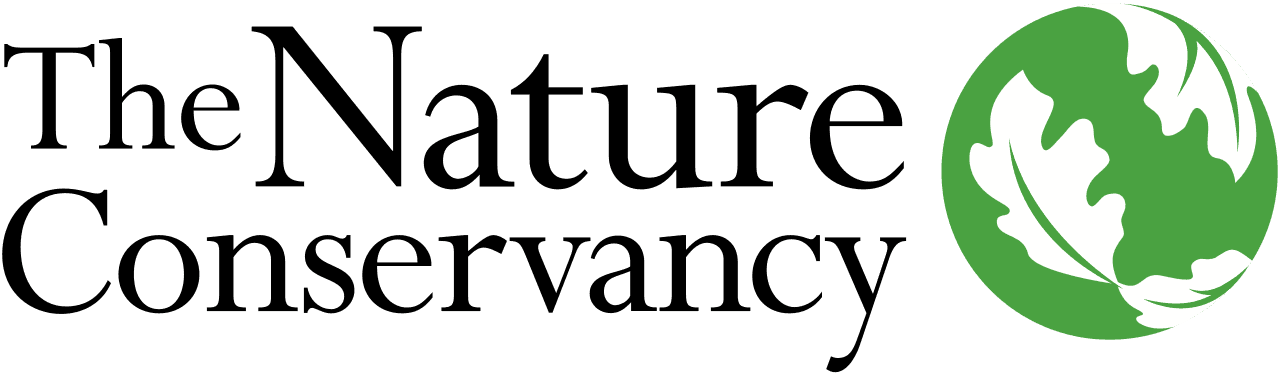 Logo Placeholder