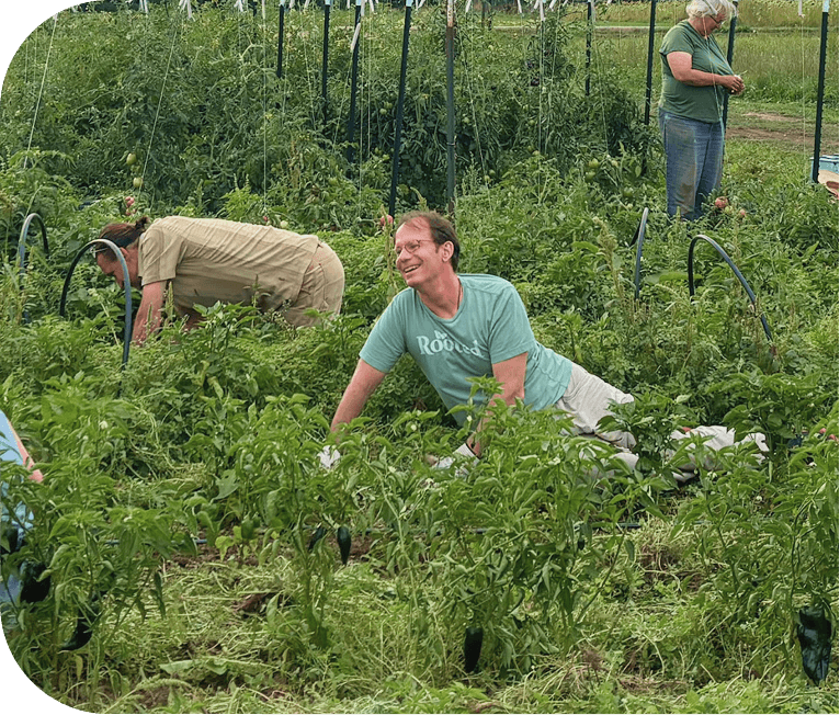 A person participating in hands-on agricultural training with harvesting crops.