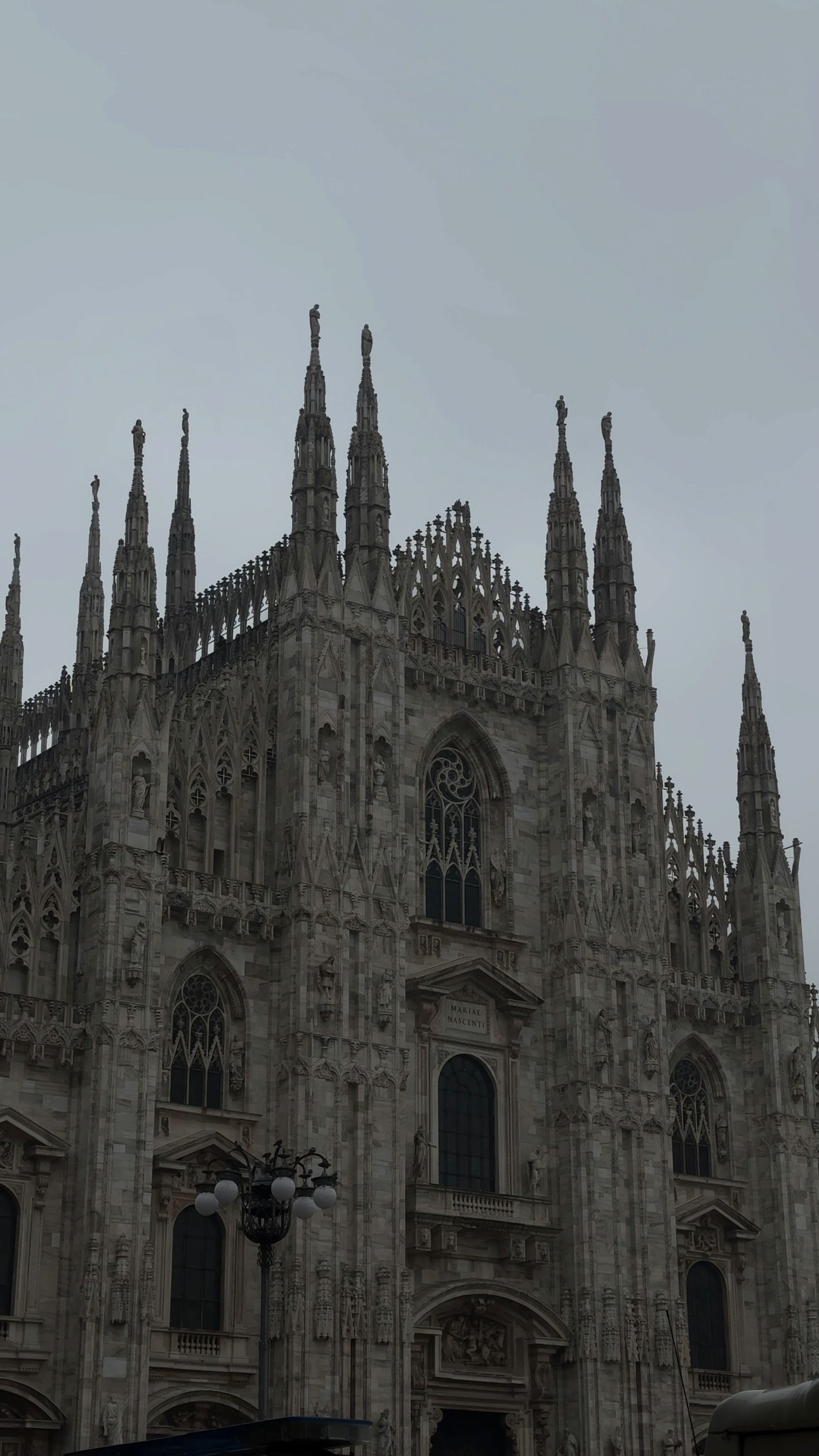 Female training in gym