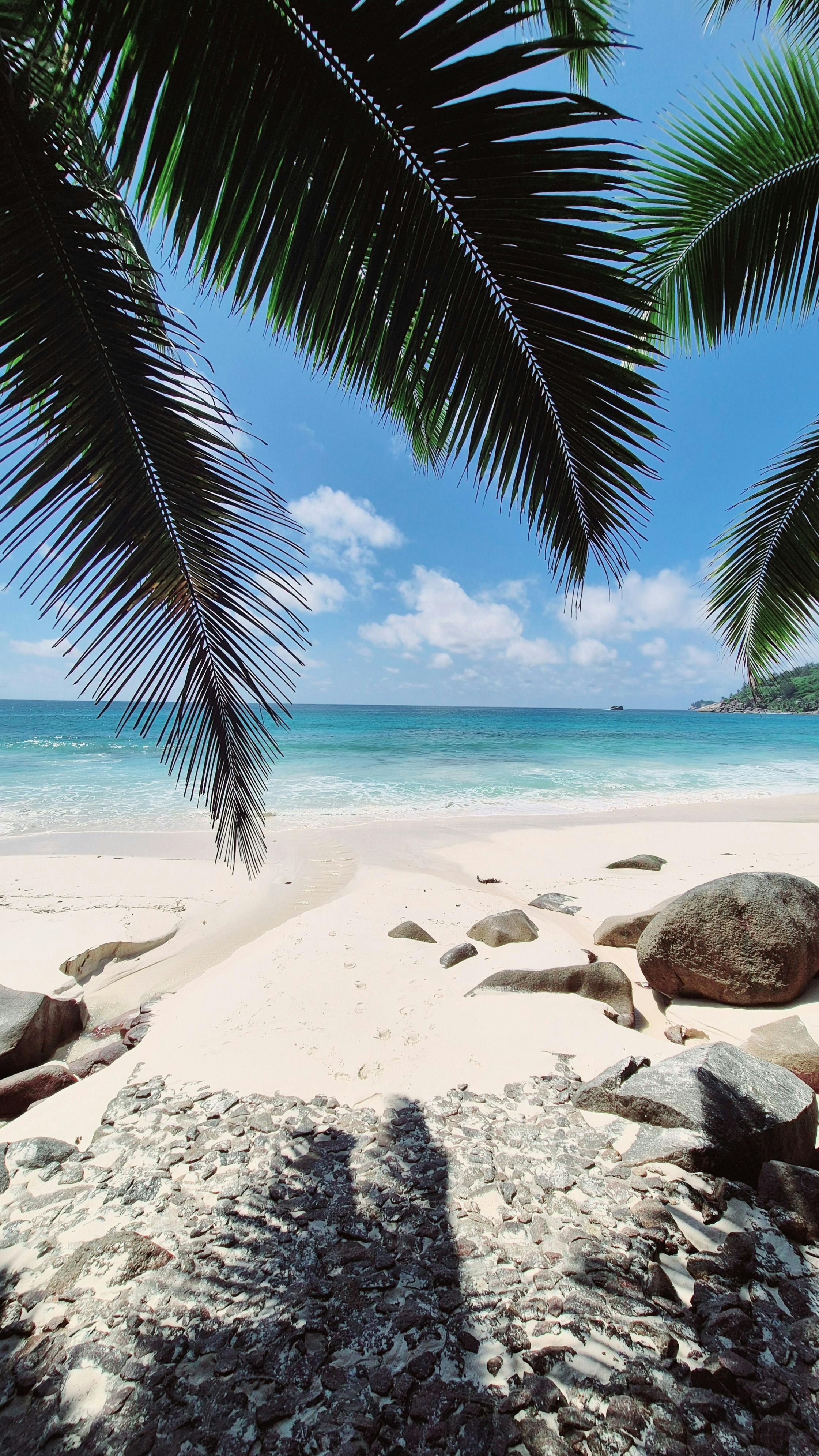 Flamenco, tapas și tradiții care dau ritm vieții de zi cu zi