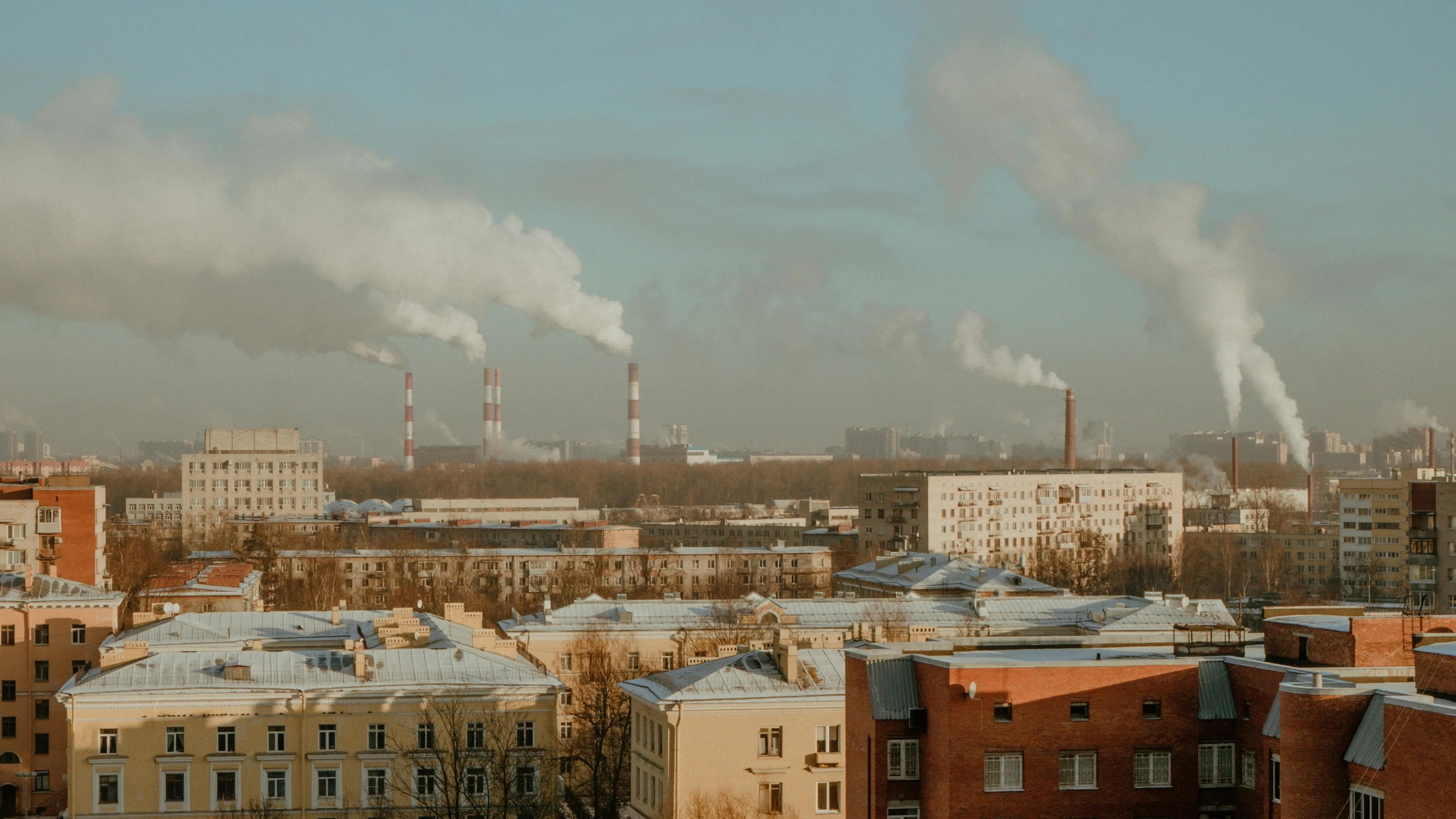 survival guide to 2030, future skills 2030, how to prepare for 2030, life in 2030 explained, future of work 2030, careers in 2030, jobs of the future 2030, AI impact by 2030, artificial intelligence and jobs, adapting to AI future, money skills for 2030, financial literacy future, multiple income streams 2030, digital identity future, personal brand 2030, online reputation management, climate change daily life 2030, sustainability lifestyle 2030, mental resilience future, focus and attention economy, mental health in digital age, continuous learning future, education in 2030, skills over degrees, future readiness guide, preparing for rapid change, future-proof yourself, how to survive future economy