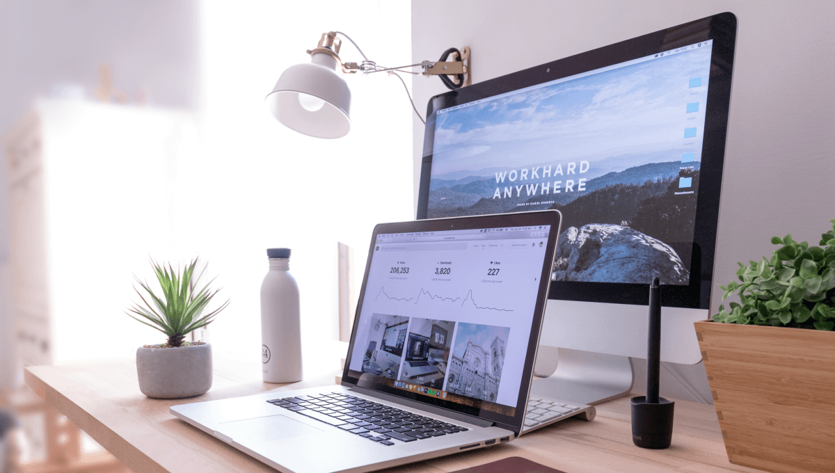 portfolio