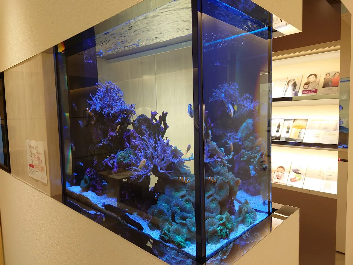 商業施設の通路に設置された角型の大型海水水槽で、立体的に組まれたイソギンチャクと魚が三方向から鑑賞できる構成