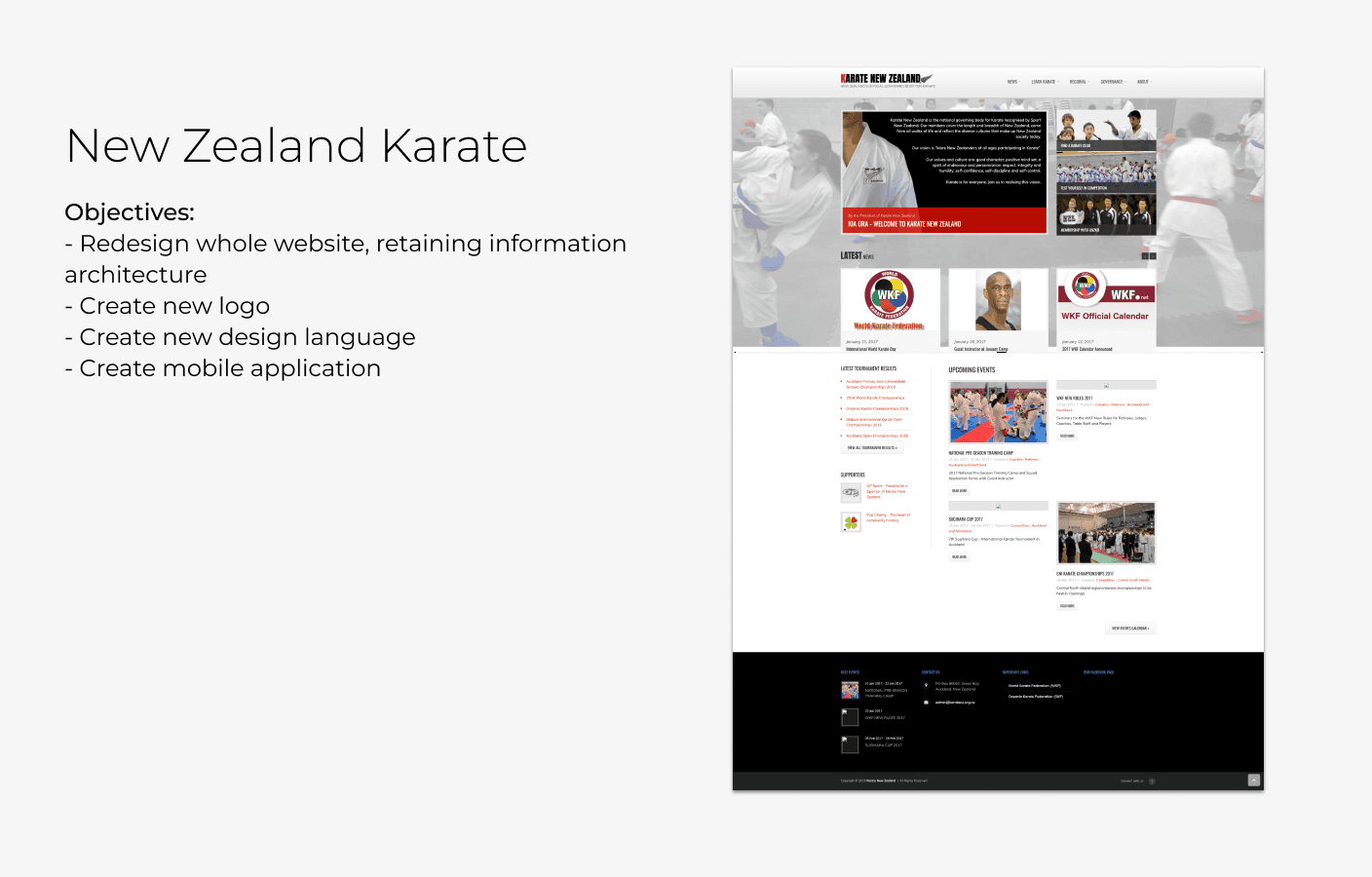 Short brief and screenshot of legacy website on WordPress