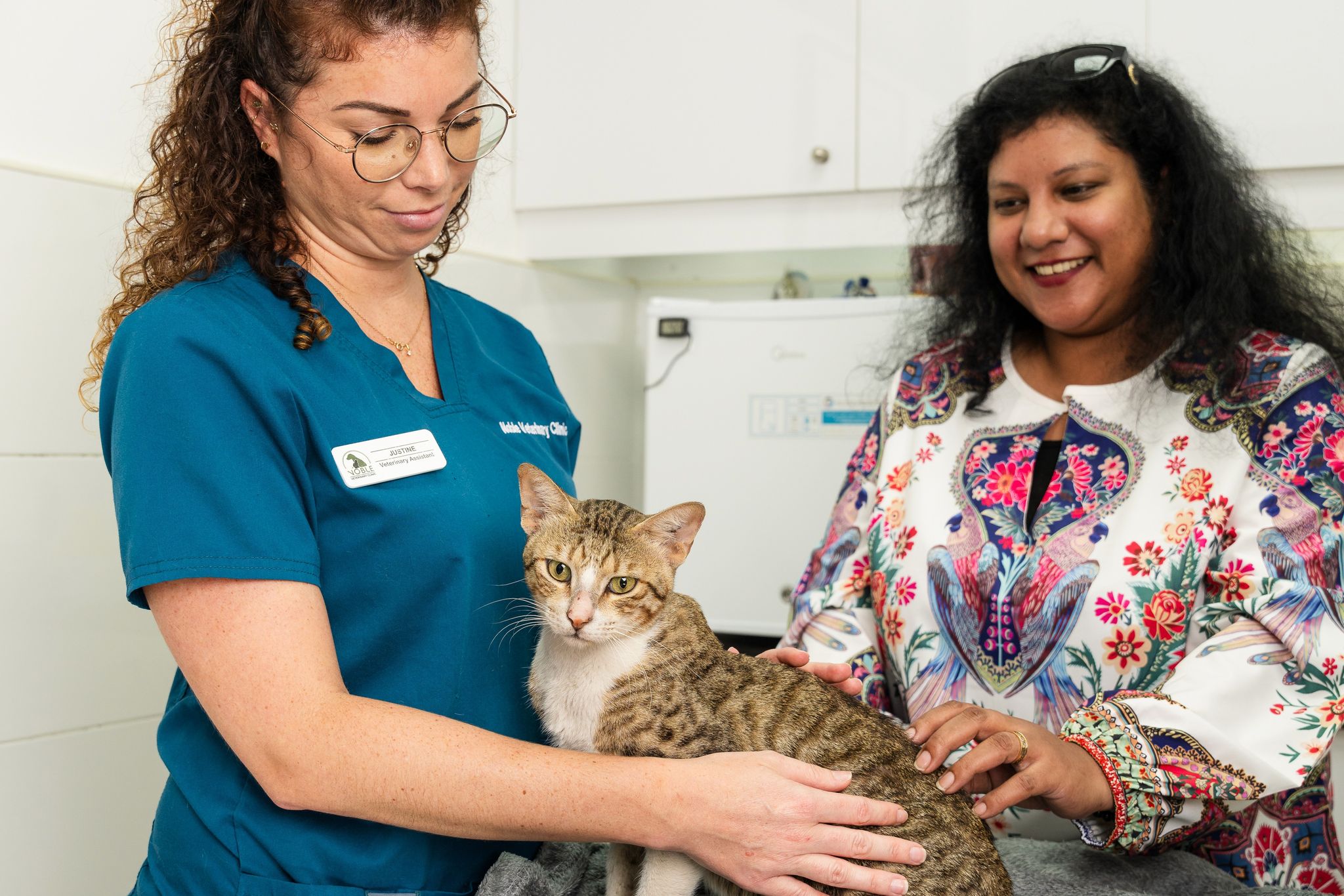 A vet is holding a cat and talking to the pet owner but the cat's nutrition.