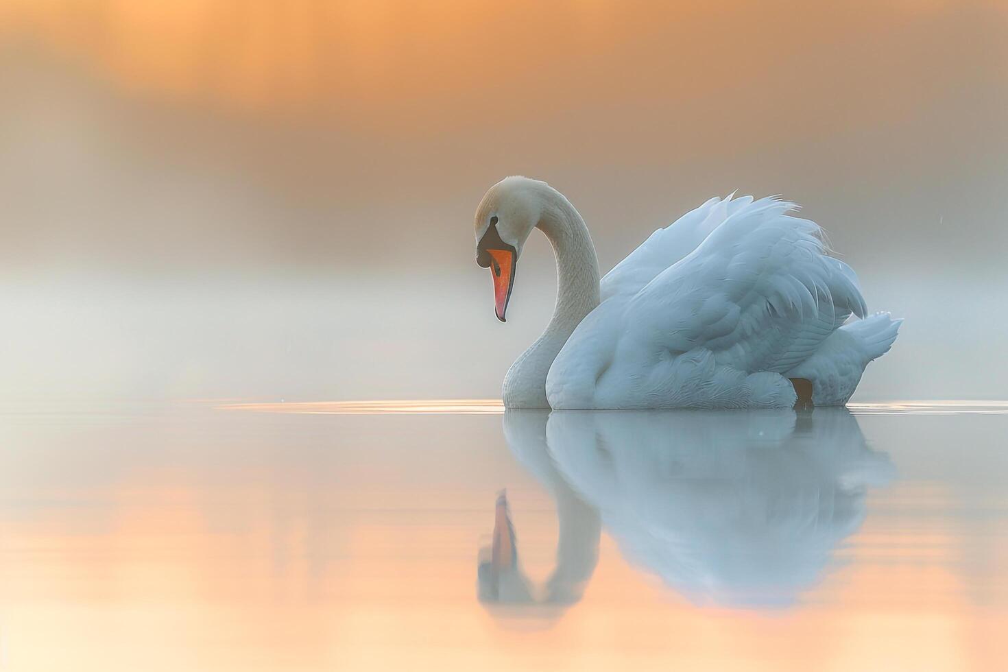 a woman wearing a black head scarf and holding a drink