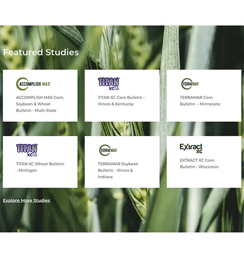 Master window cleaner