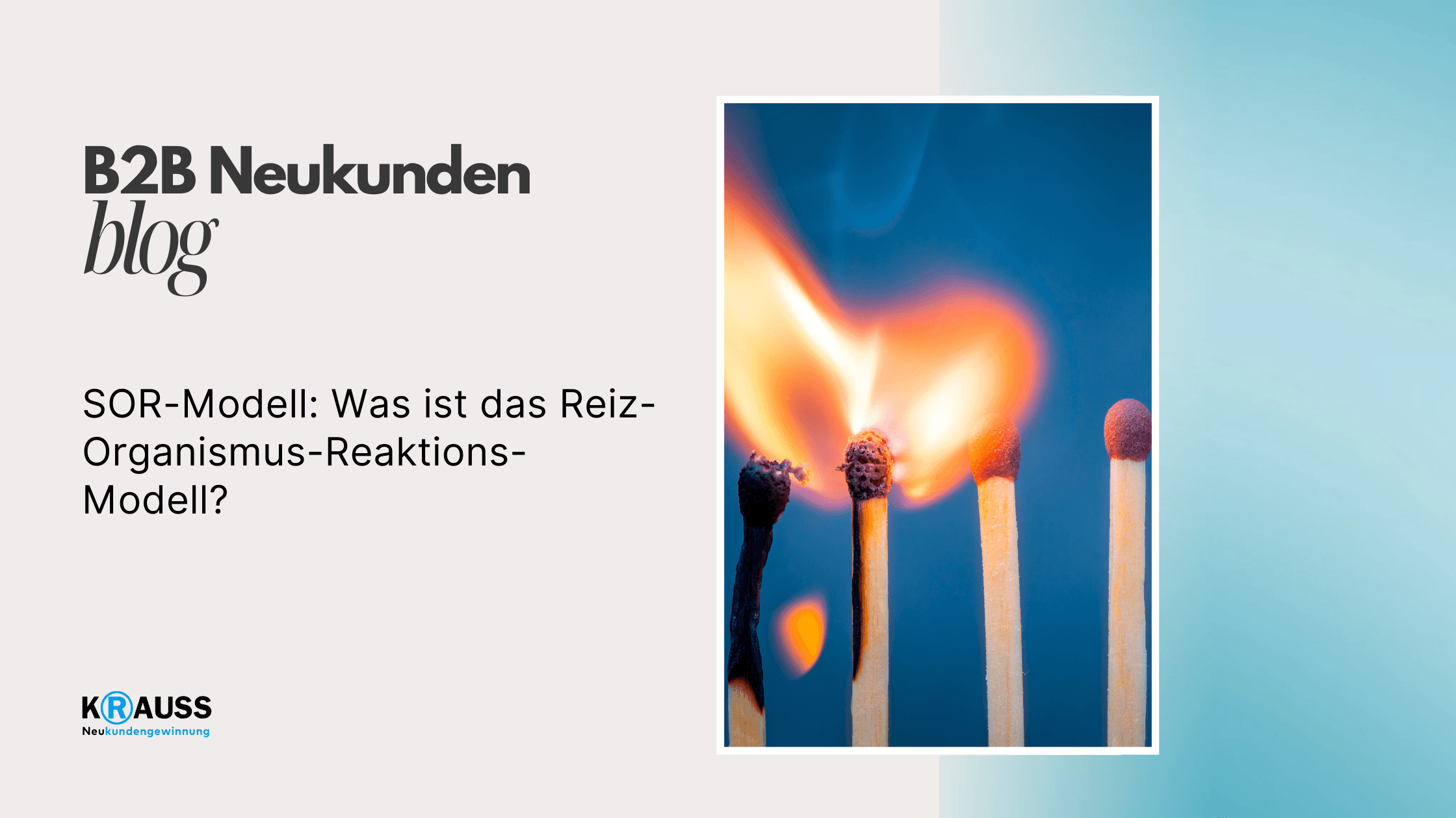 SOR-Modell: Was ist das Reiz-Organismus-Reaktions-Modell?
