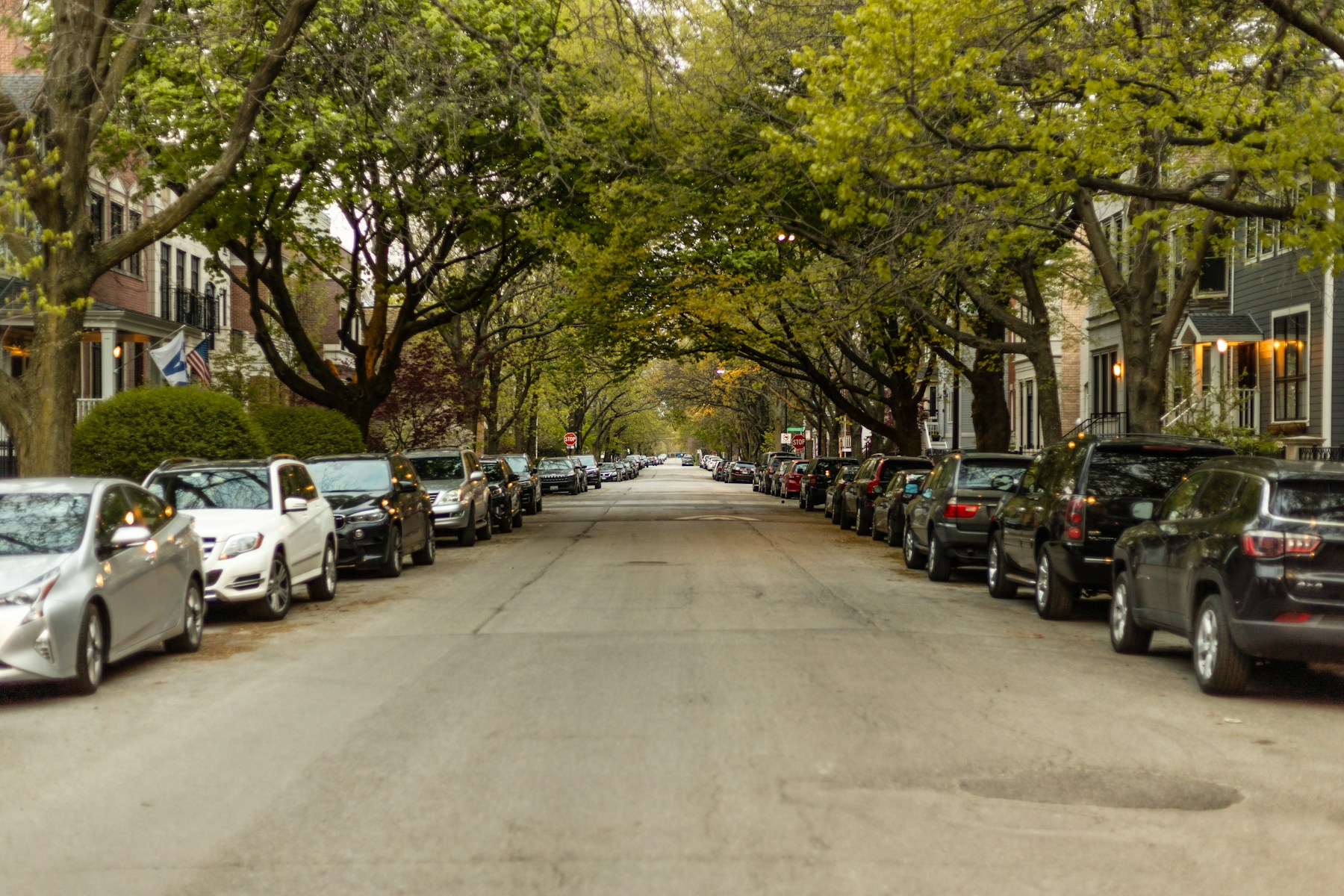 Tree-lined residential street with cars parallel parked along both curbs