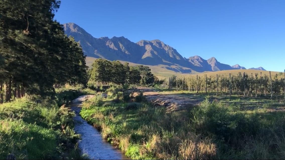 Hilton during Nature Therapy Sessions