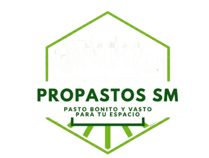 Logo Company